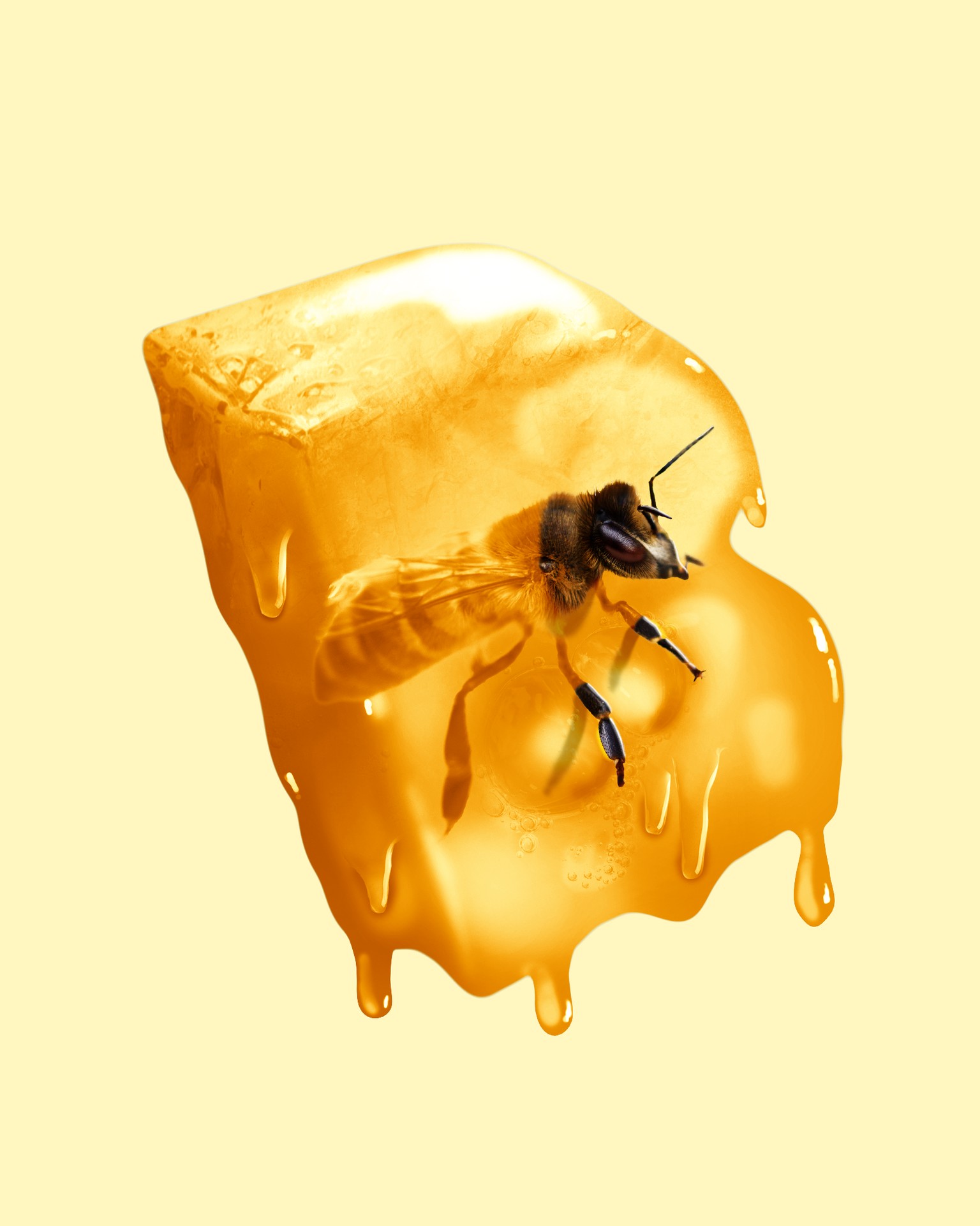 The Yellow Prison - image 1 - student project