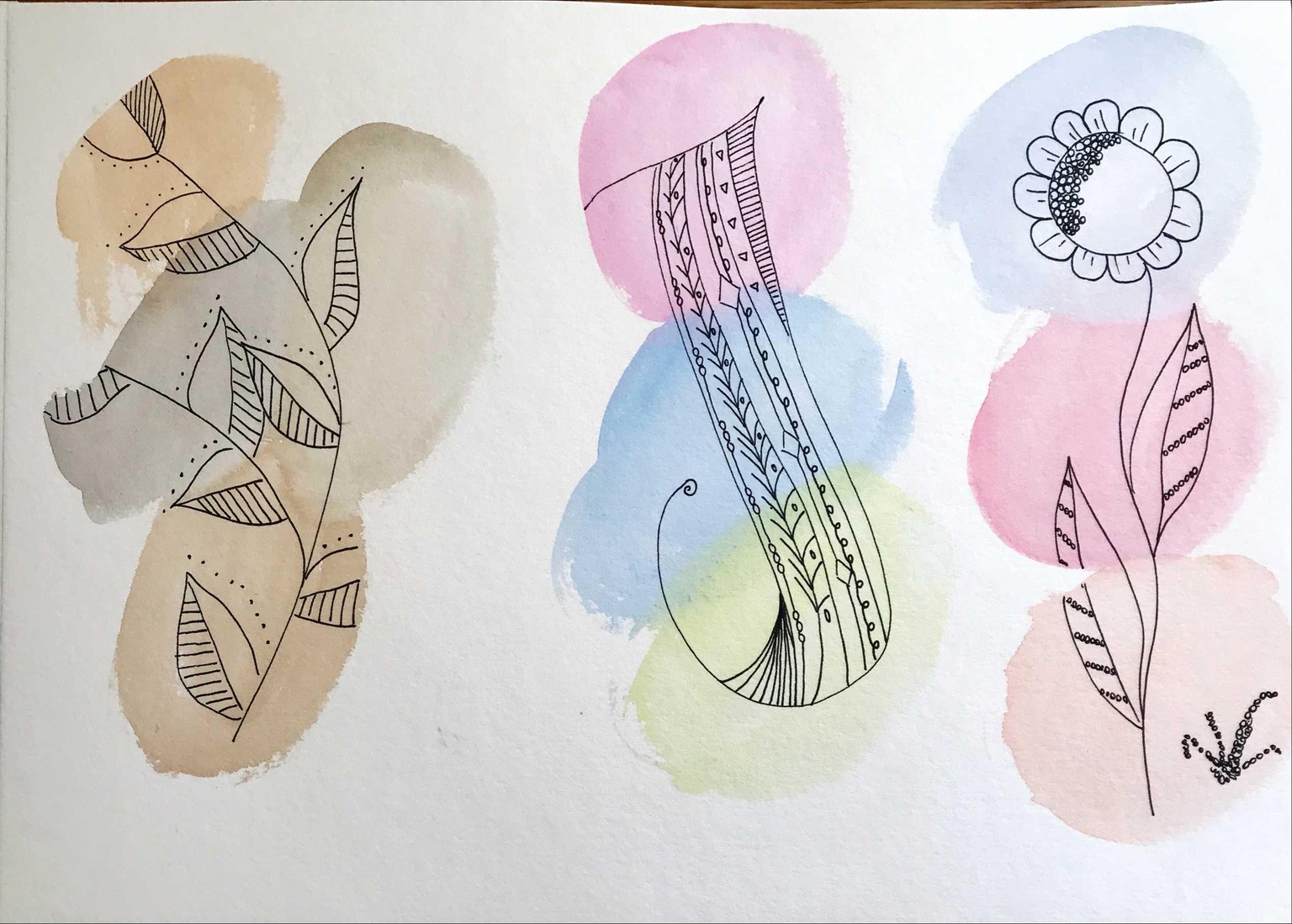 Watercolour and ink botanicals - image 2 - student project