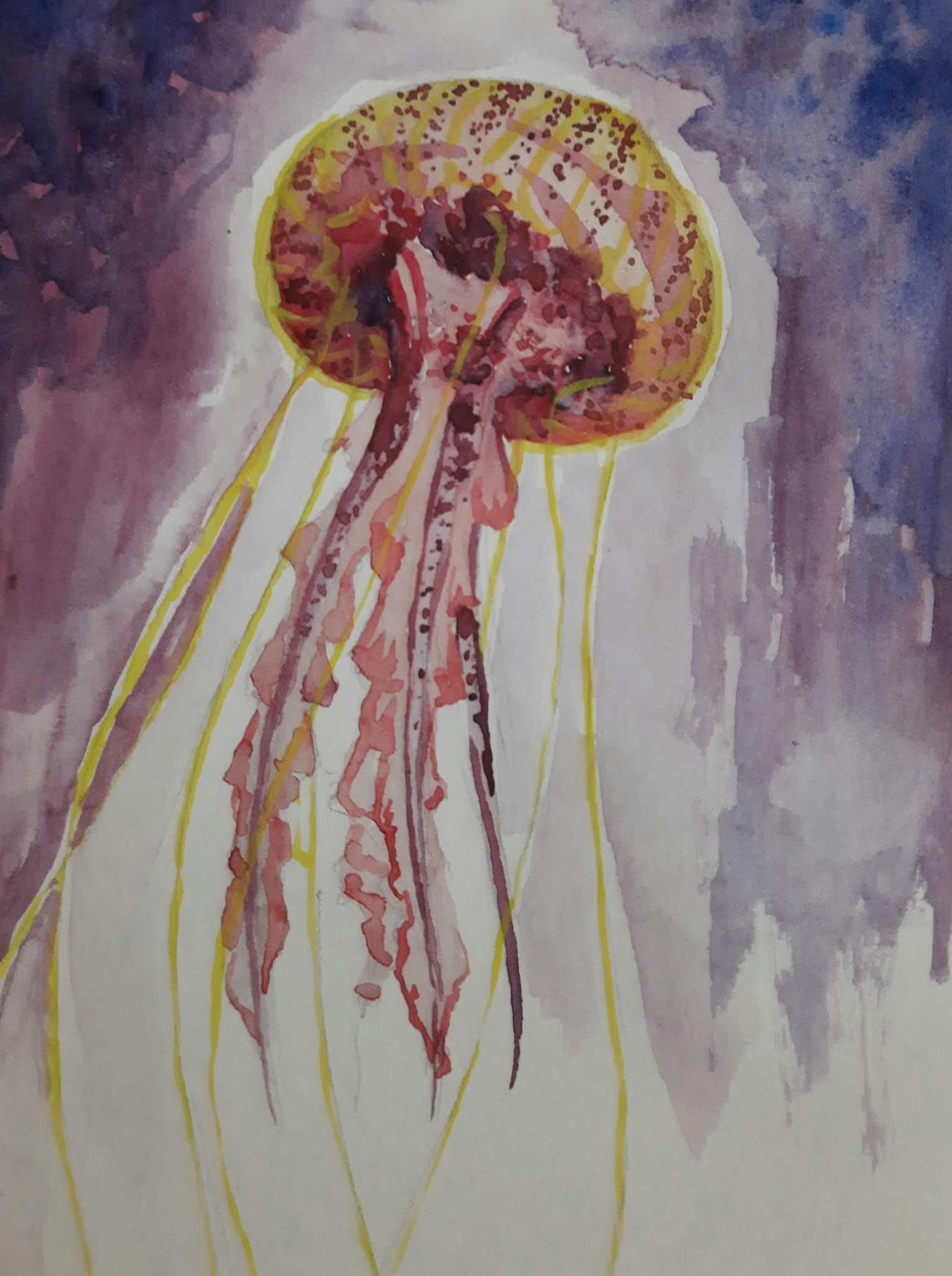 Jellyfish - image 1 - student project