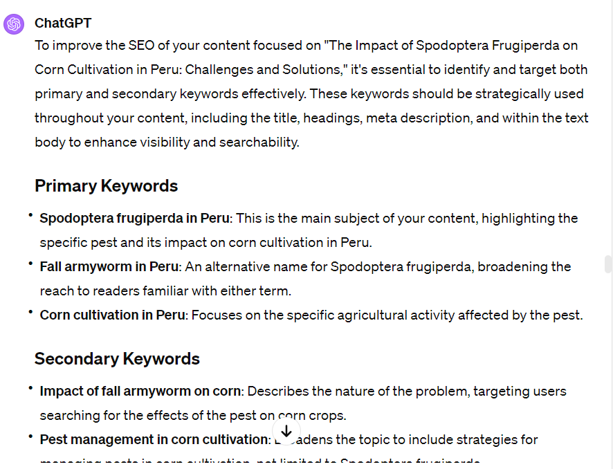Example: Chat GTP & SEO - image 2 - student project