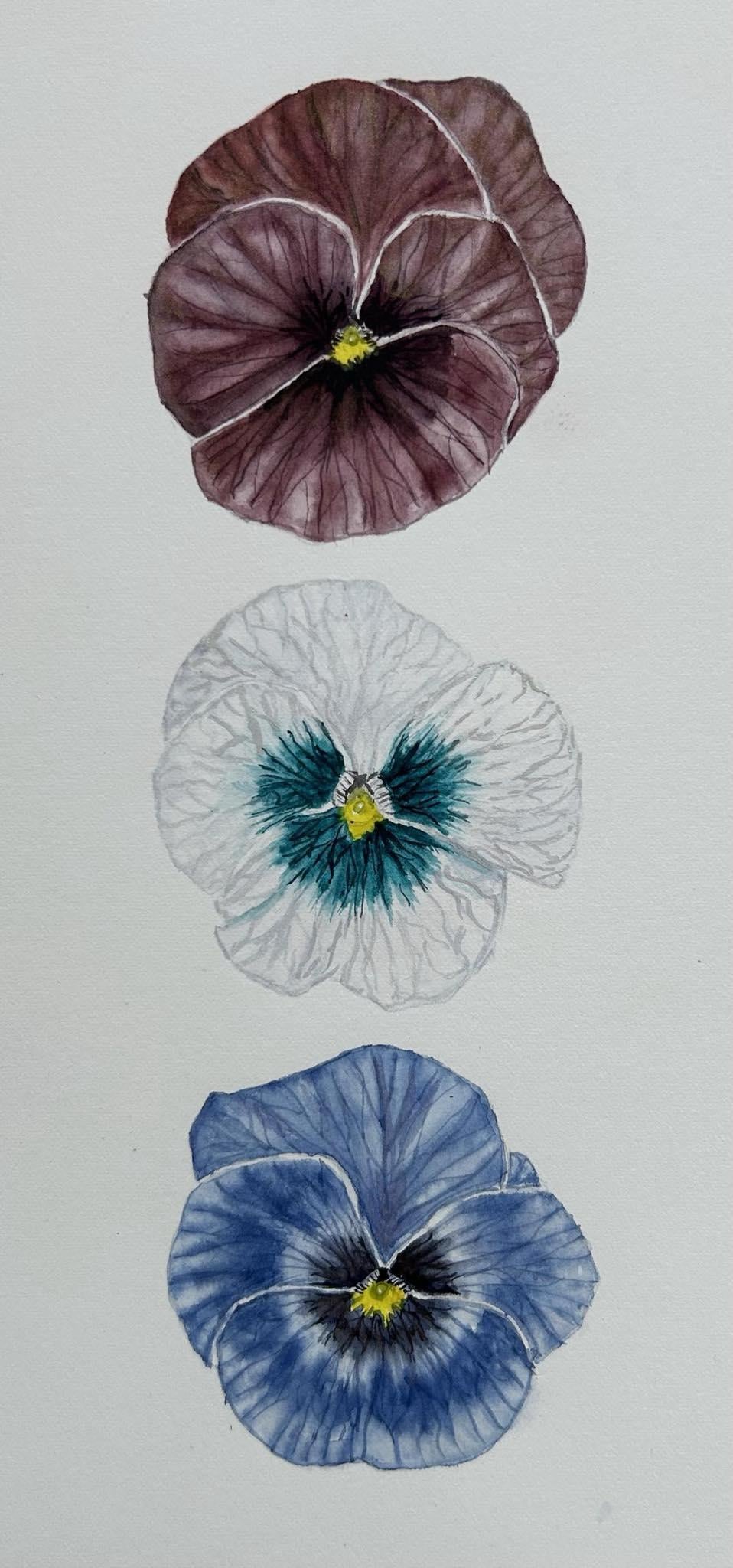 Trio of Pansies - Interpretation - image 1 - student project