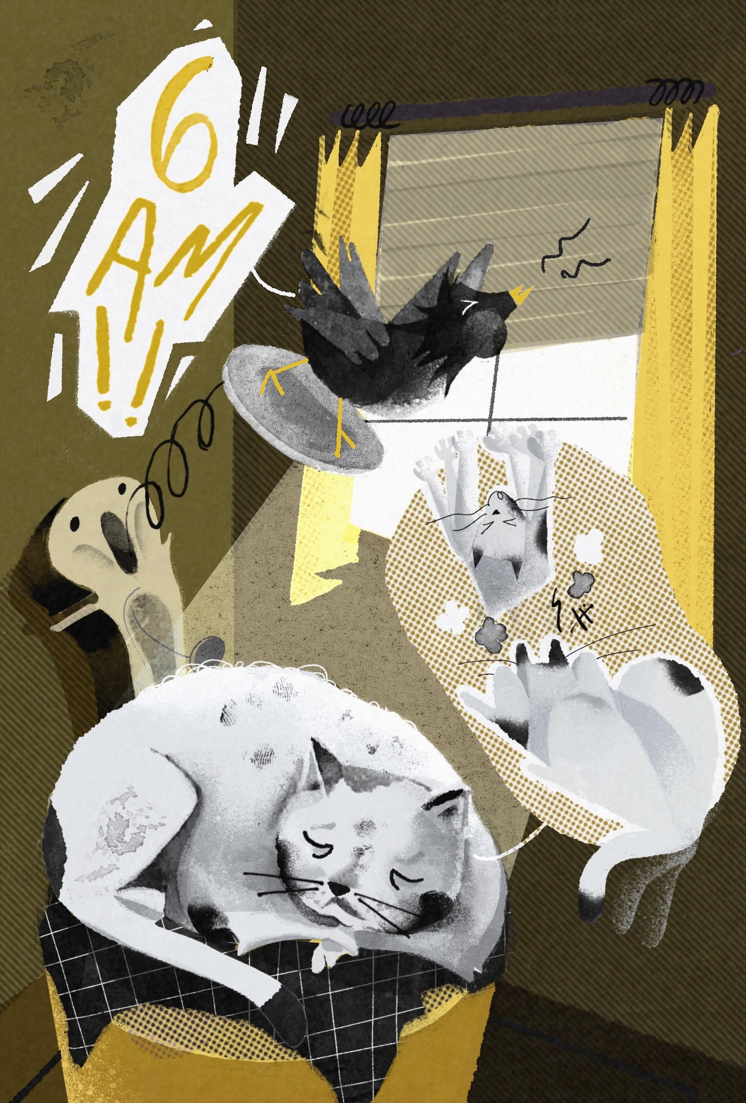 Sleepy cat - image 1 - student project