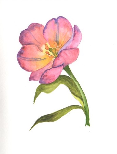 Blumen A-Z - image 1 - student project