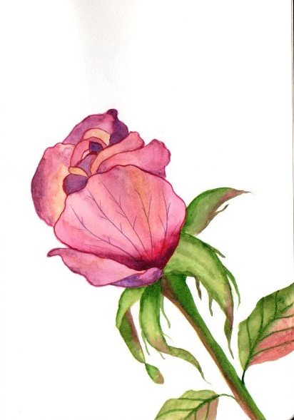 Blumen A-Z - image 3 - student project