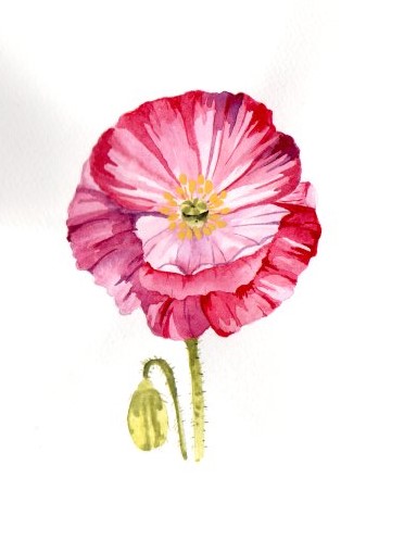 Blumen A-Z - image 12 - student project
