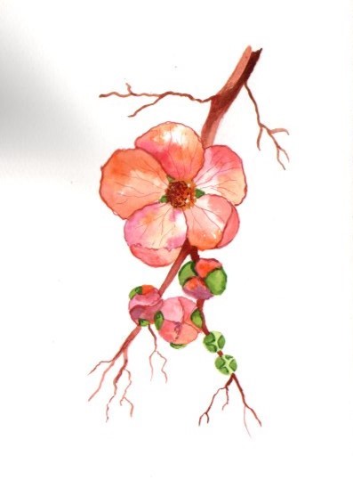 Blumen A-Z - image 4 - student project
