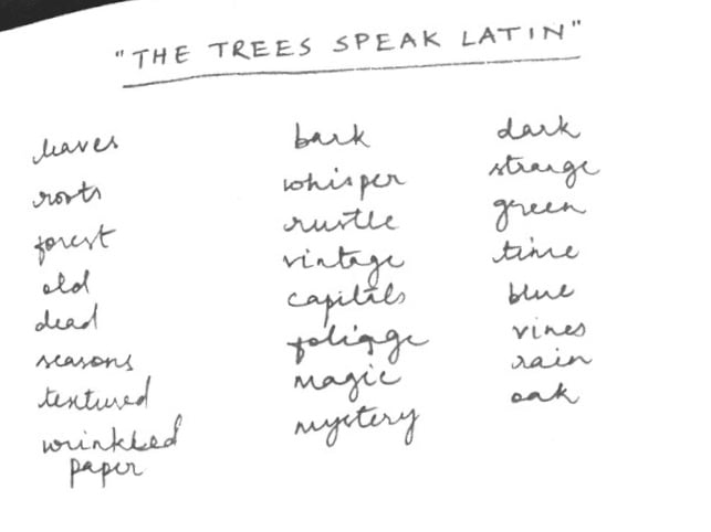 The Trees Speak Latin - image 1 - student project