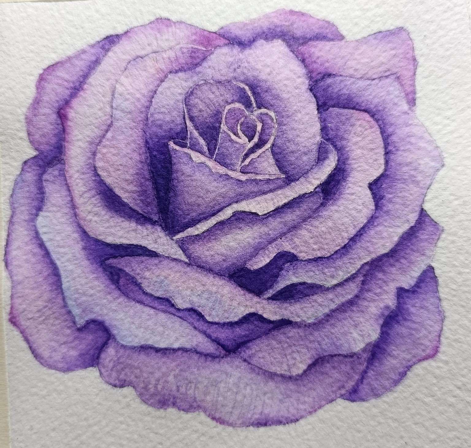 Rosa - image 1 - student project