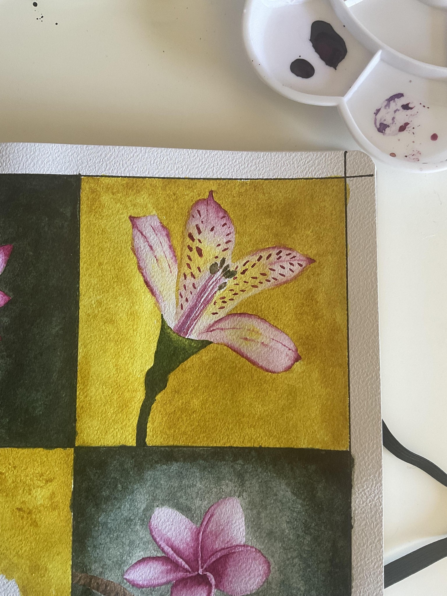 Flores: Loto, Lirio, Tulipan y Plumeria - image 3 - student project
