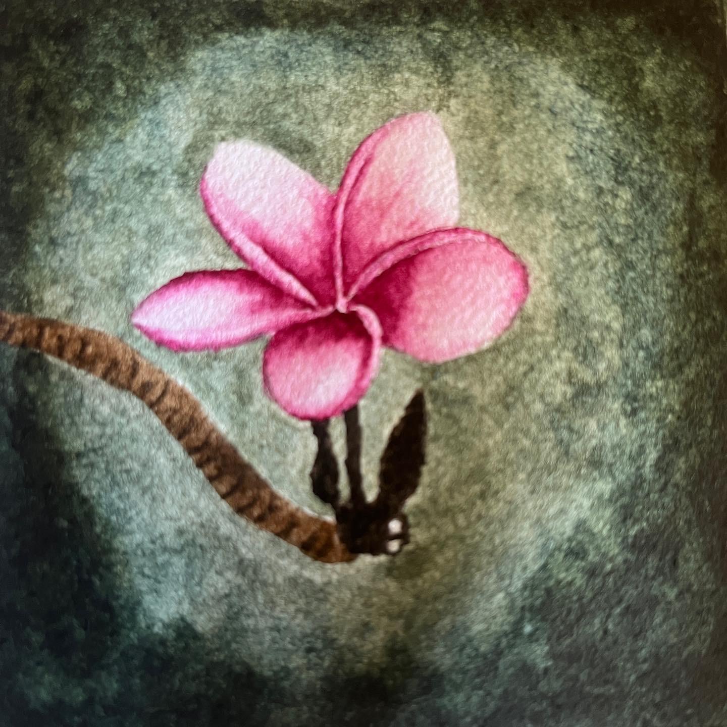 Flores: Loto, Lirio, Tulipan y Plumeria - image 2 - student project