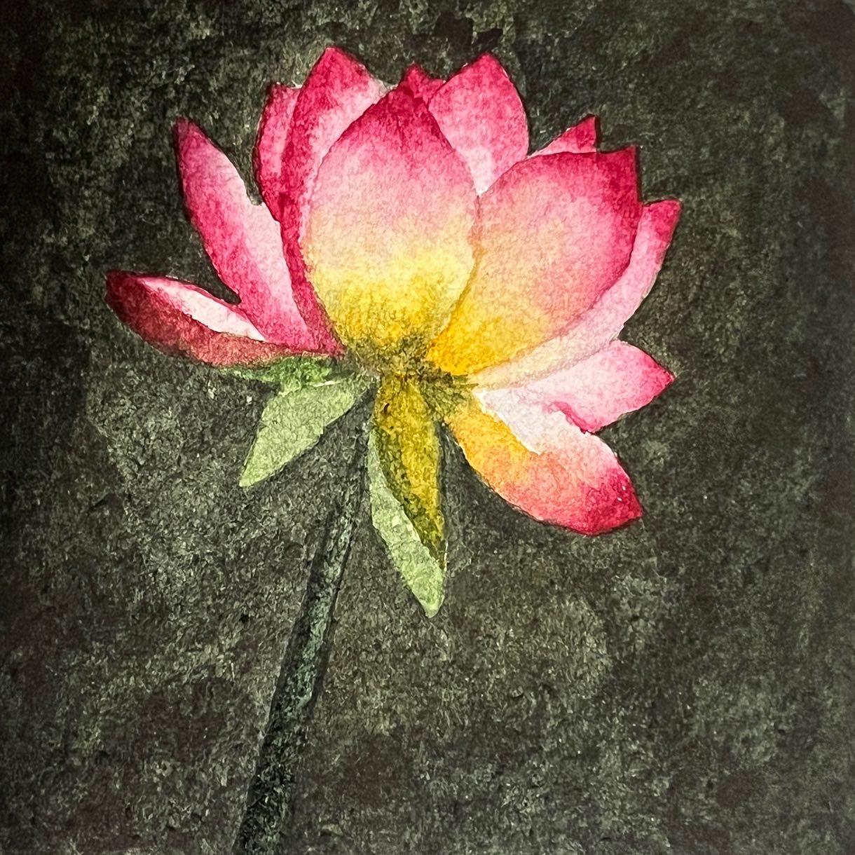 Flores: Loto, Lirio, Tulipan y Plumeria - image 1 - student project