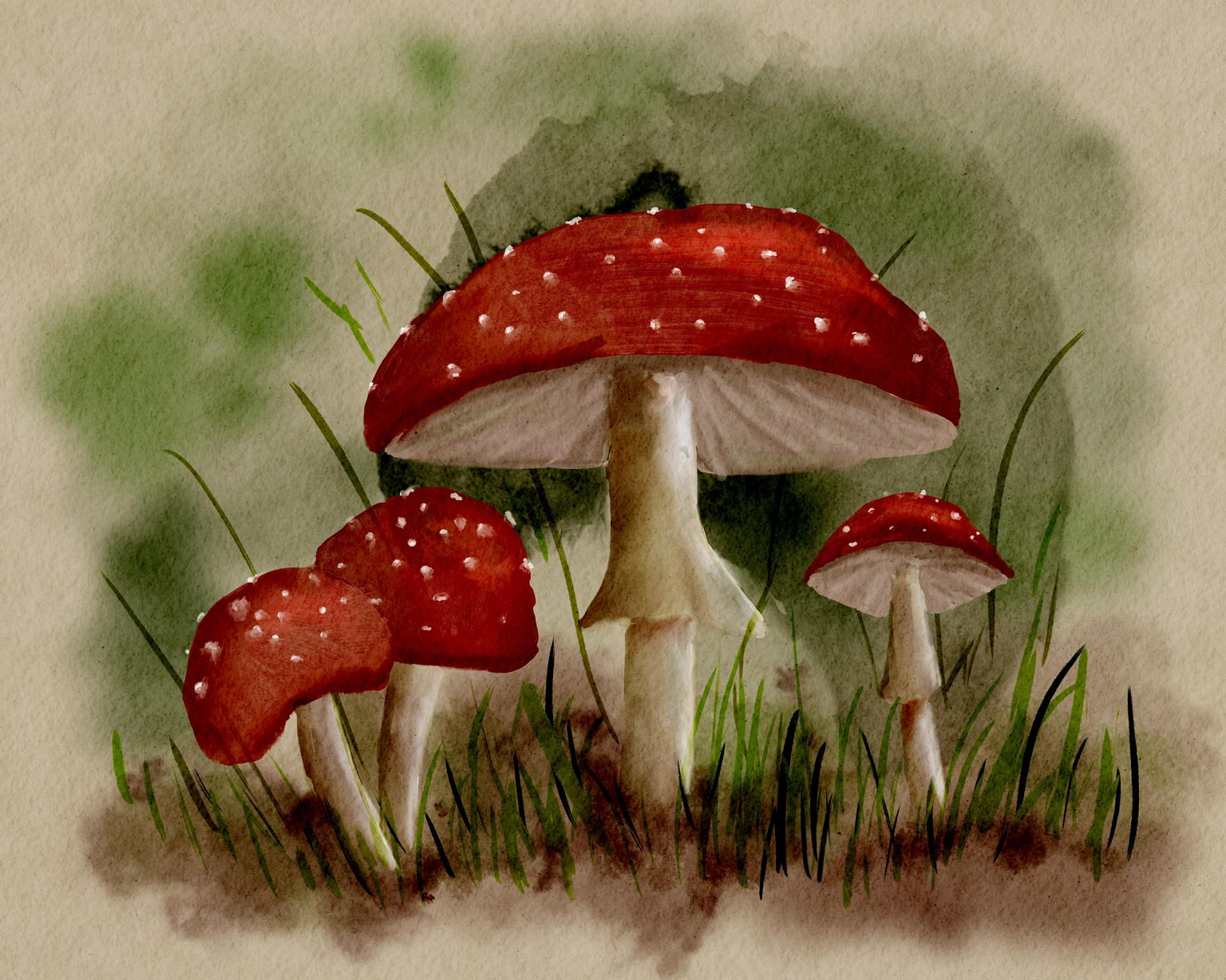 Practice in procreate - image 1 - student project