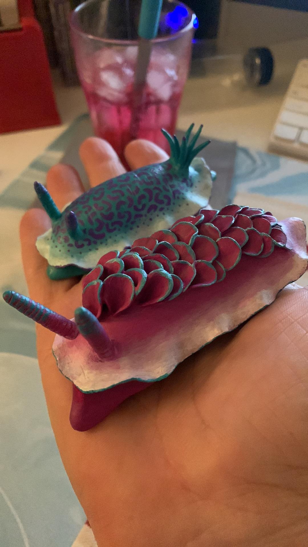 Nudibranches - image 1 - student project