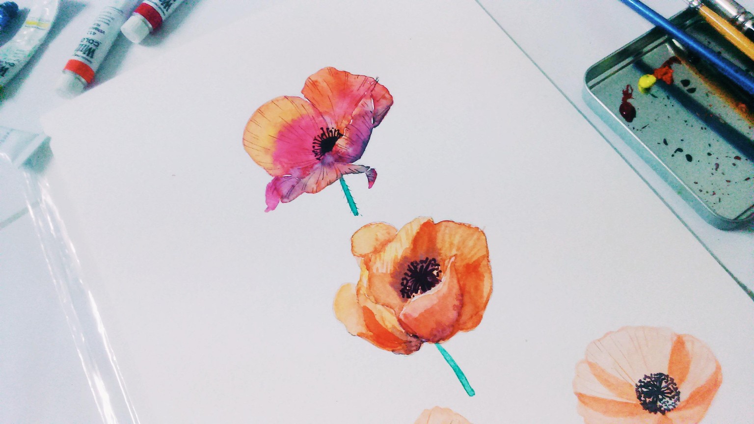 Poppy September - image 1 - student project