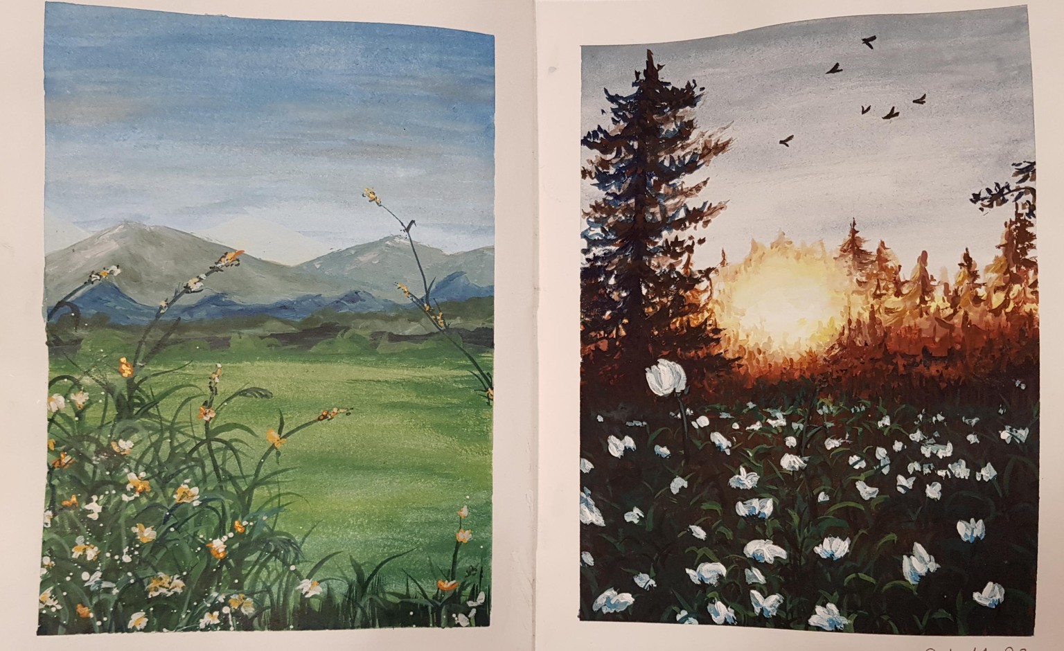 Wildflowers - image 1 - student project