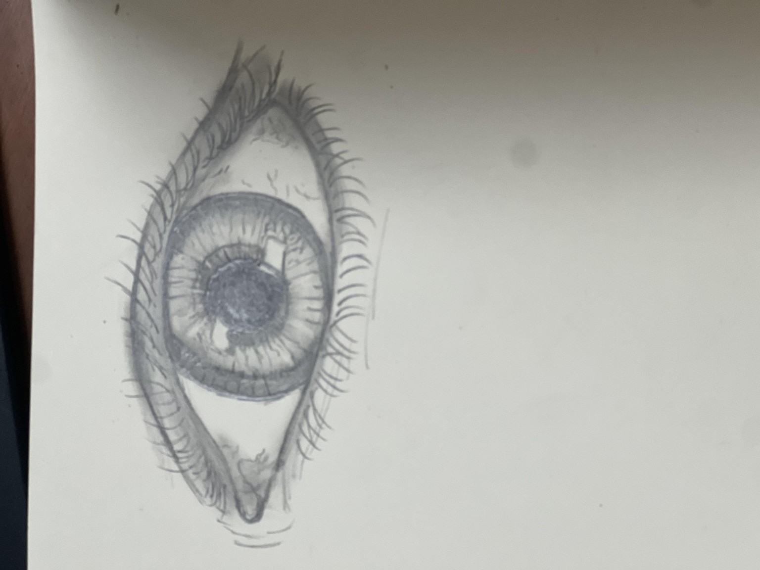 Eye project - image 1 - student project