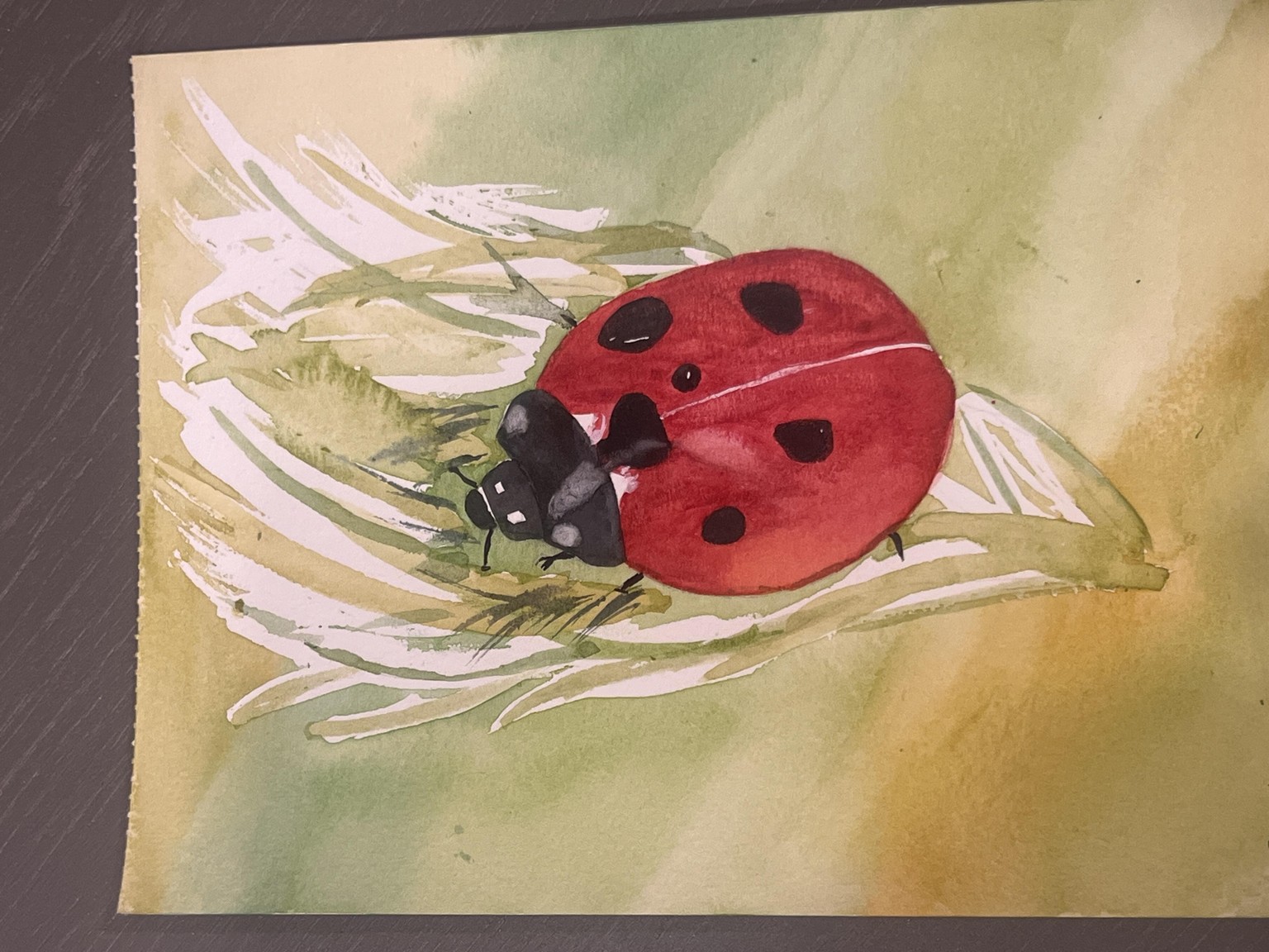 Ladybug - image 1 - student project
