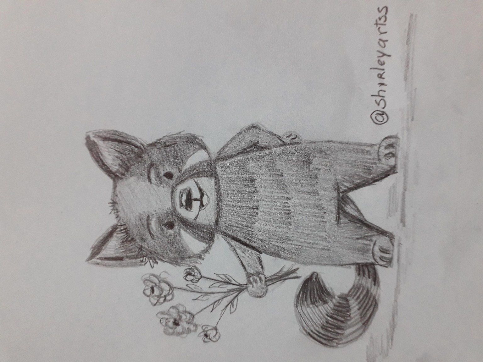 Panda - image 1 - student project