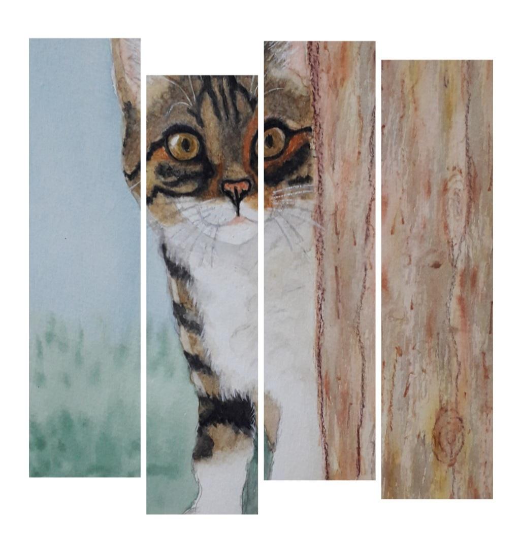 Carina Weiss's cat - image 1 - student project