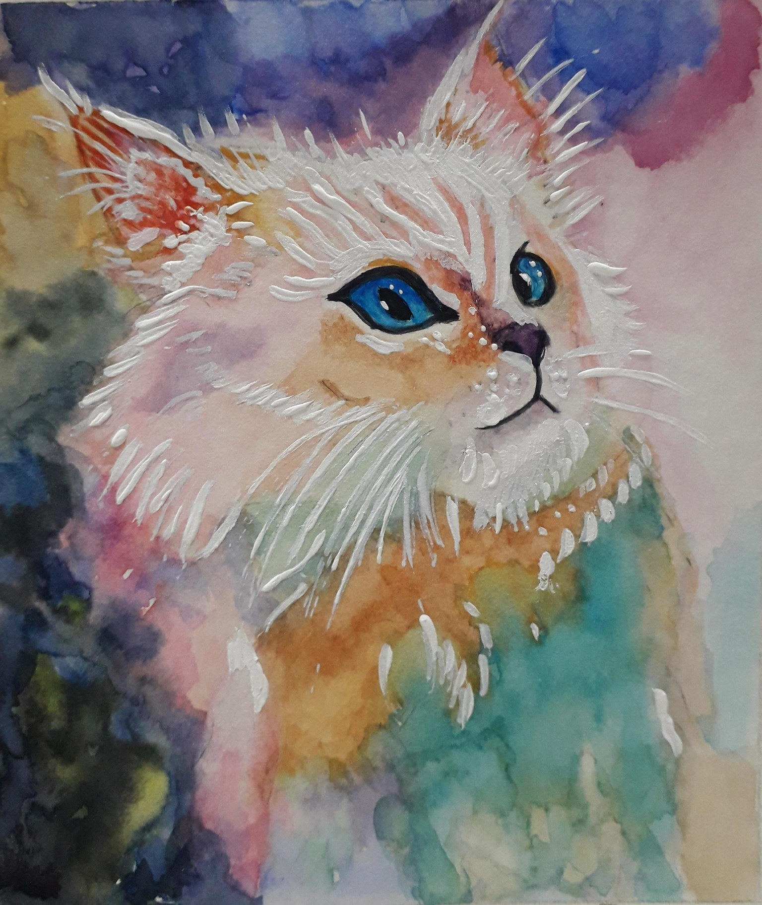 My cat rainbow - image 1 - student project