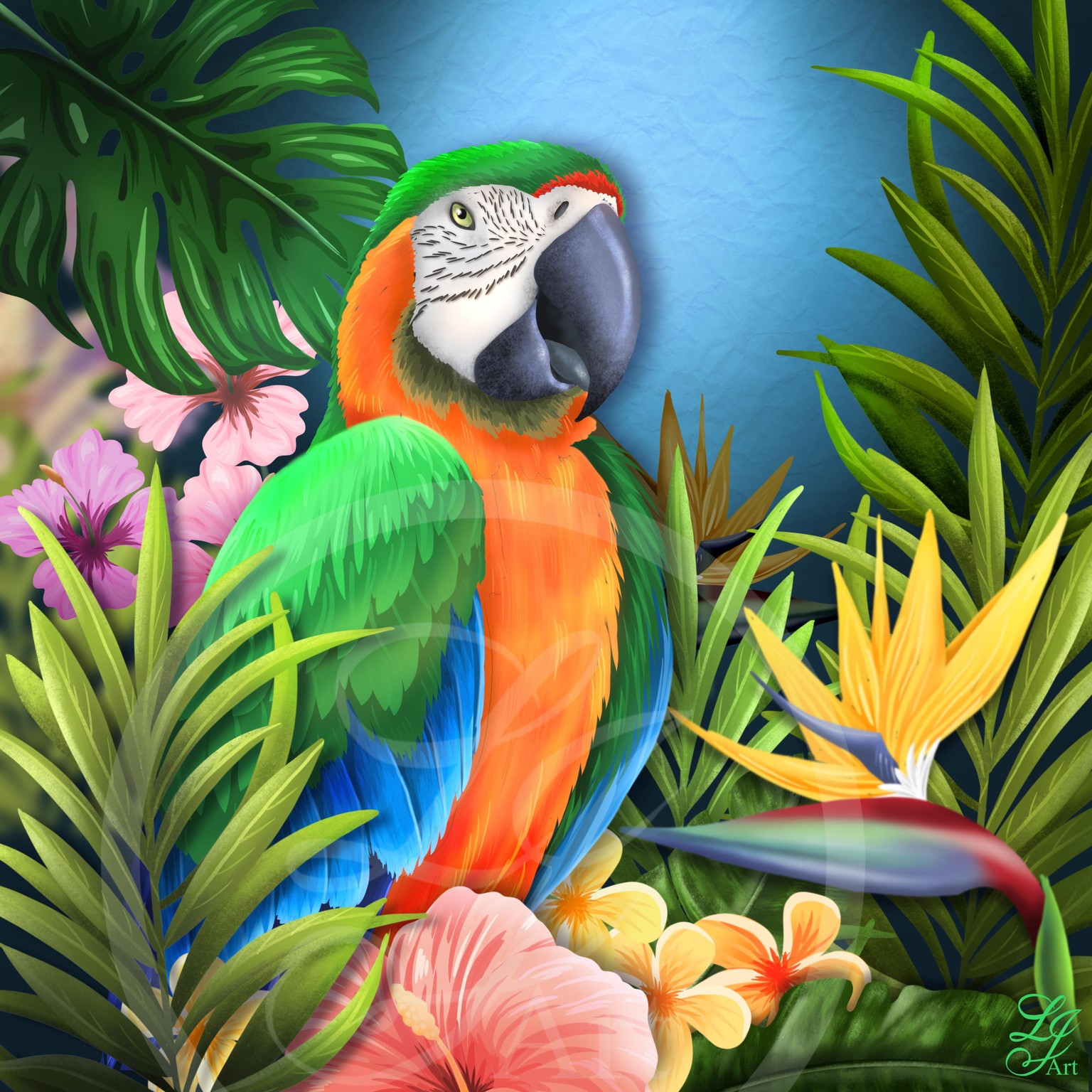 My macaw - image 1 - student project