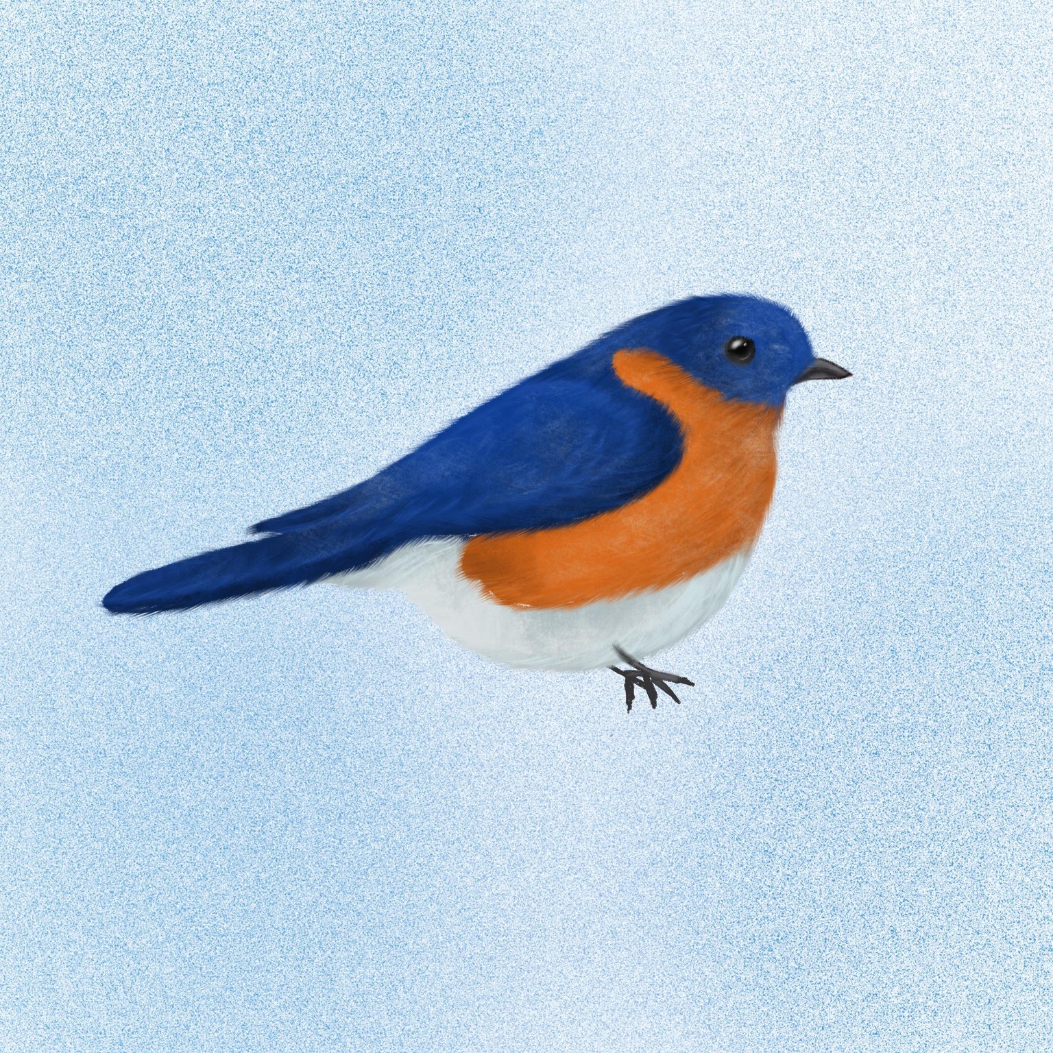 Textured birds - image 1 - student project