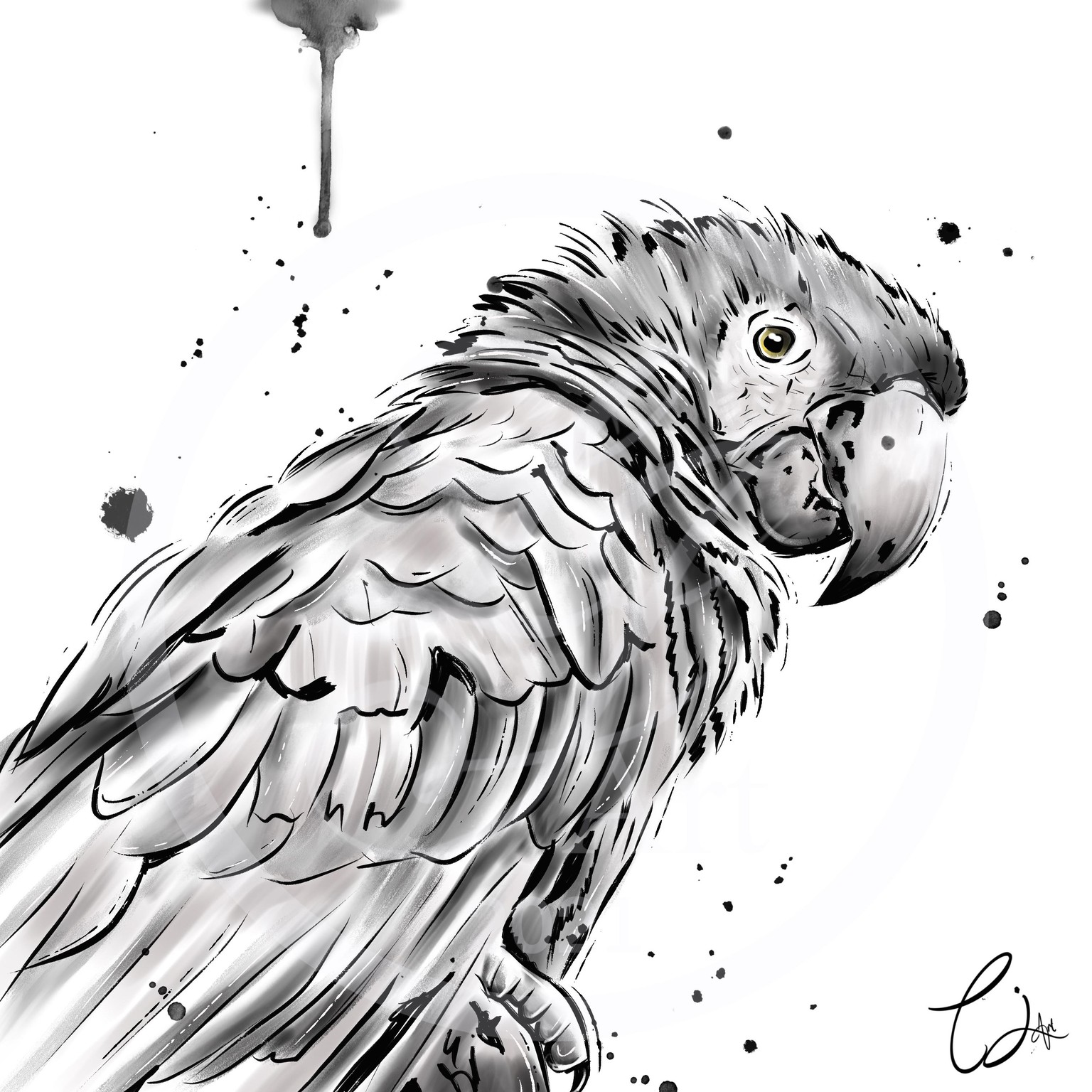 Inky parrot - image 1 - student project