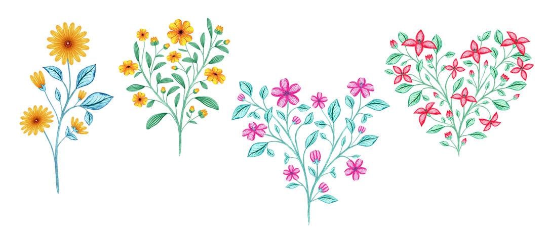Watercolour to Digital Botanicals - image 4 - student project