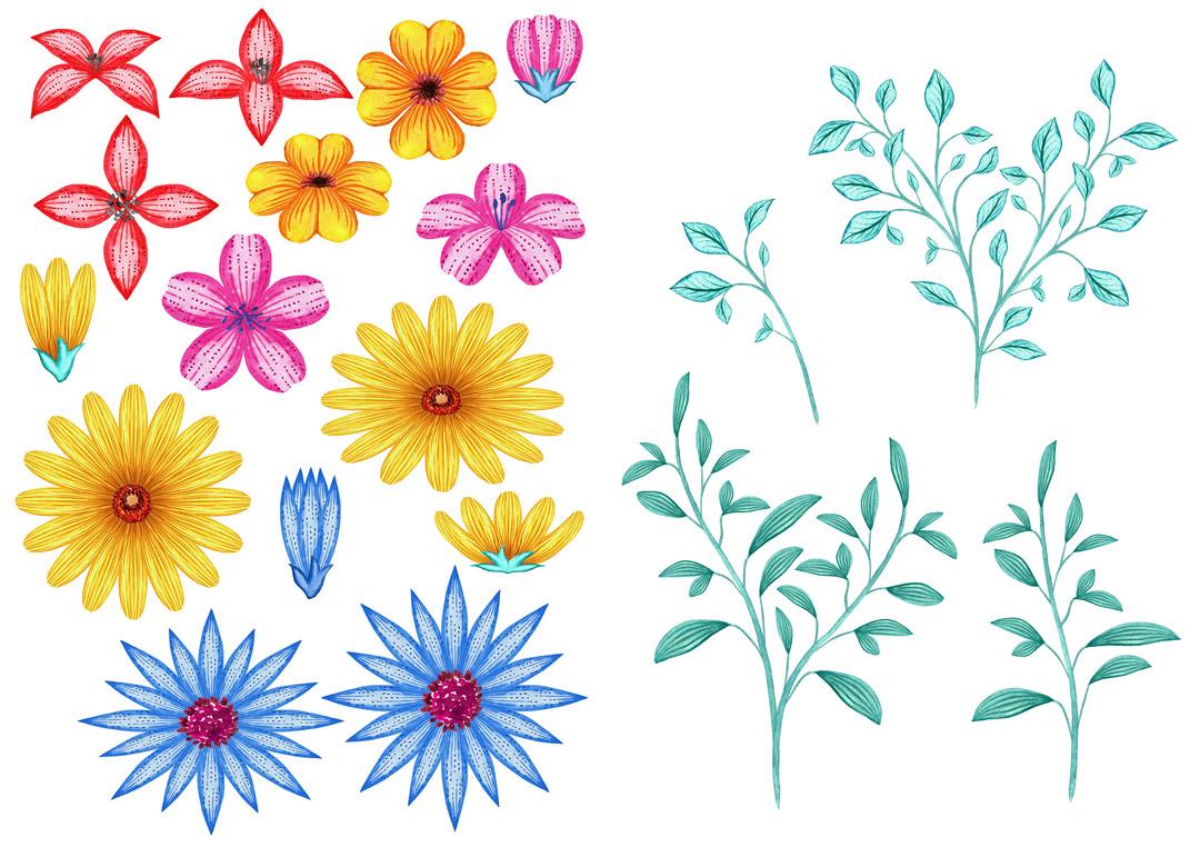 Watercolour to Digital Botanicals - image 3 - student project