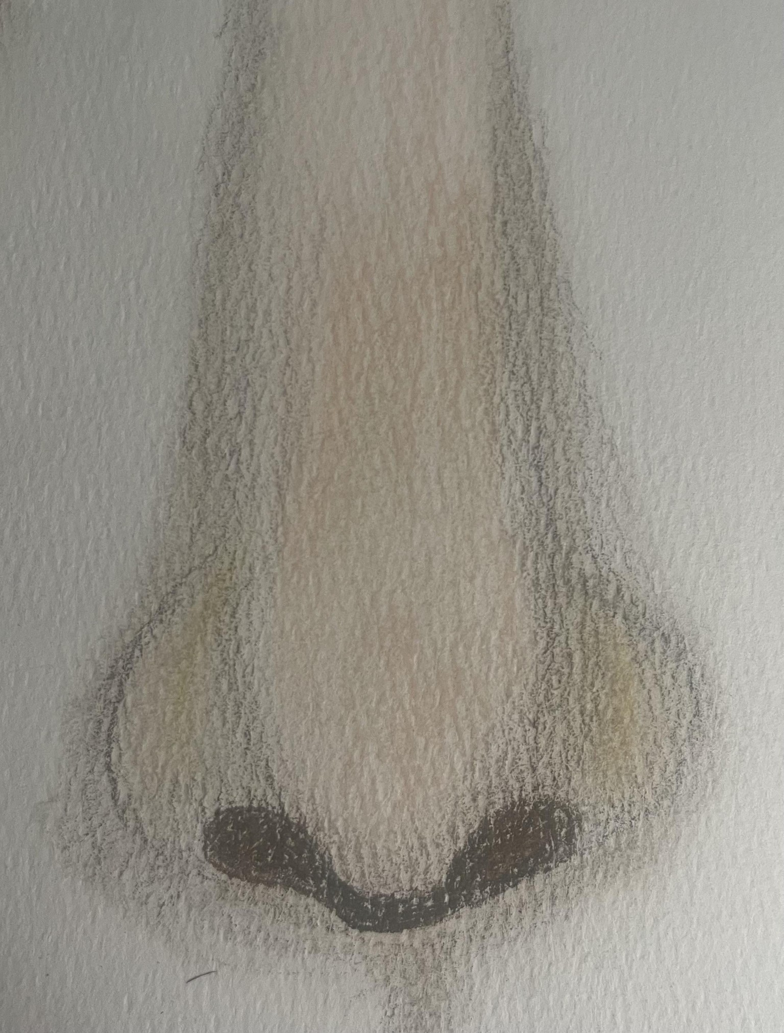 Lips nose and eye - image 1 - student project
