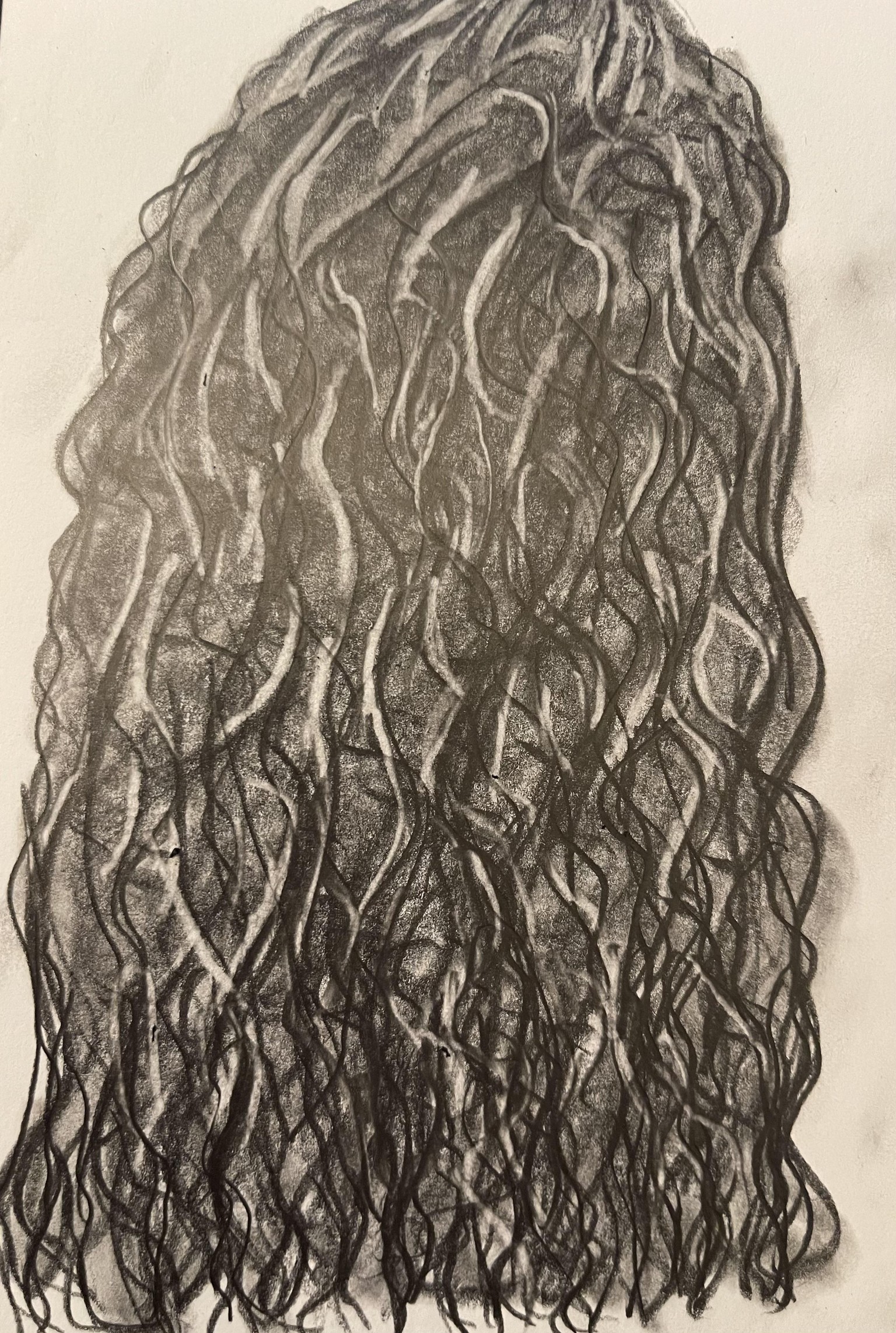 Braid and curly hair - image 1 - student project