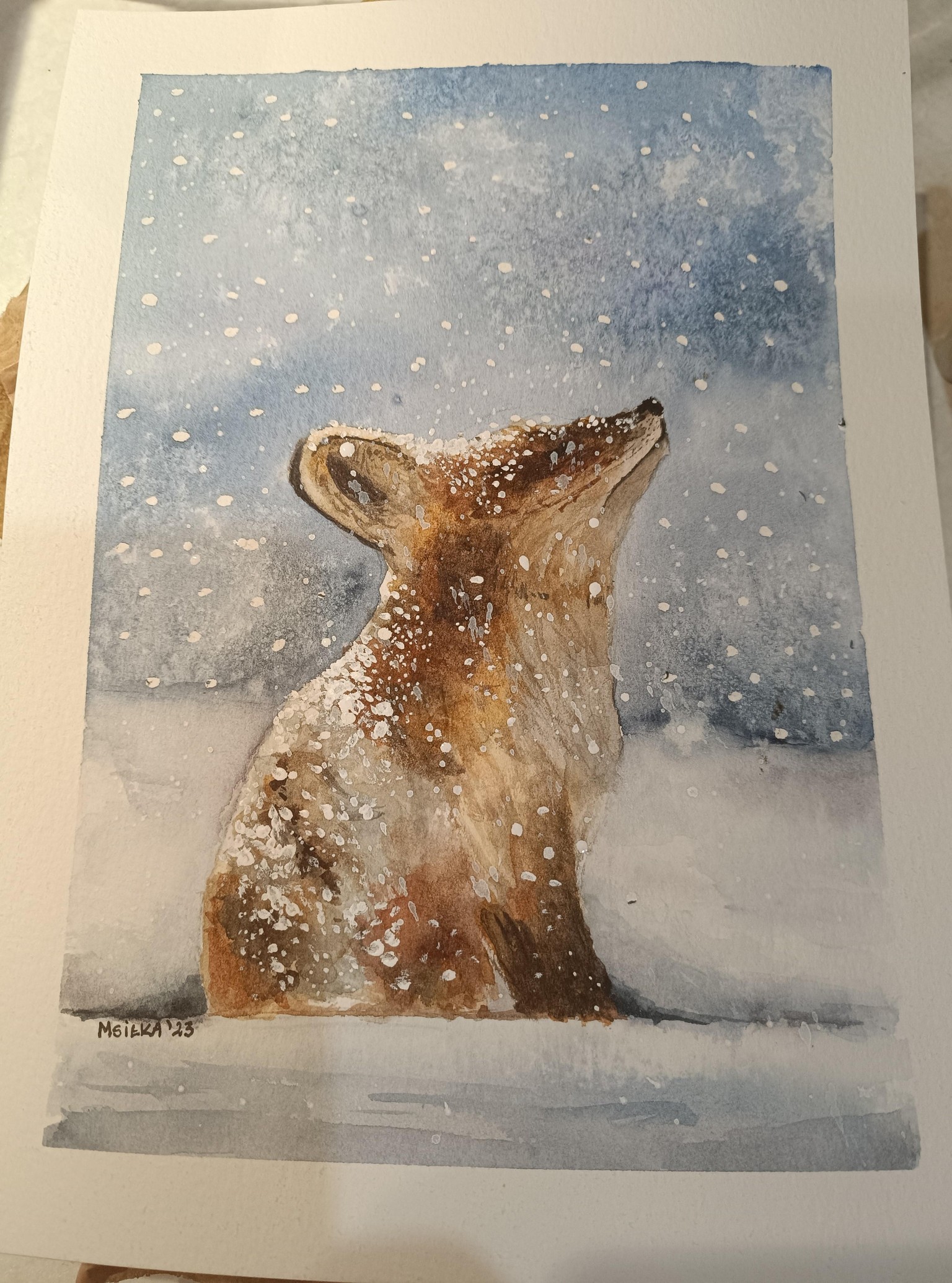 Winter Fox - image 1 - student project