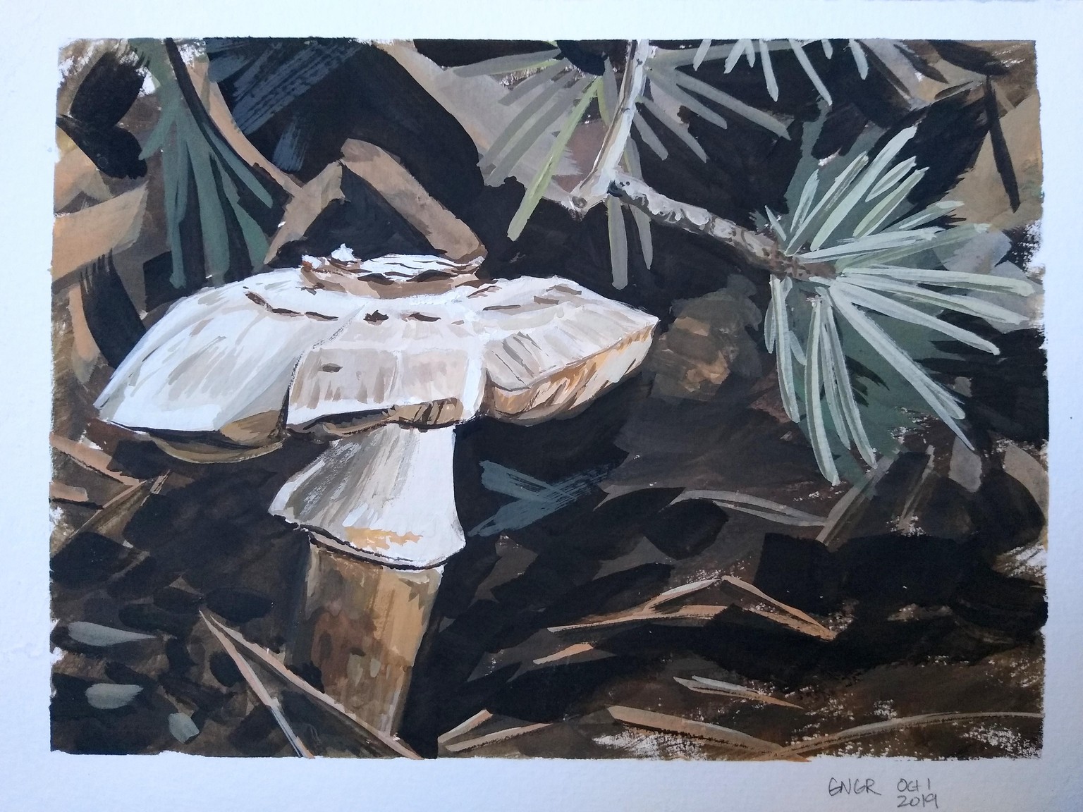 Fir and Fungi in Goauche - image 2 - student project