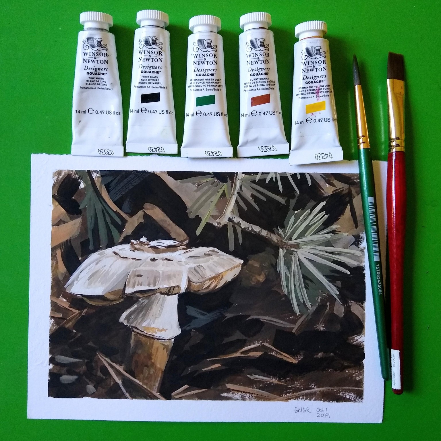 Fir and Fungi in Goauche - image 1 - student project