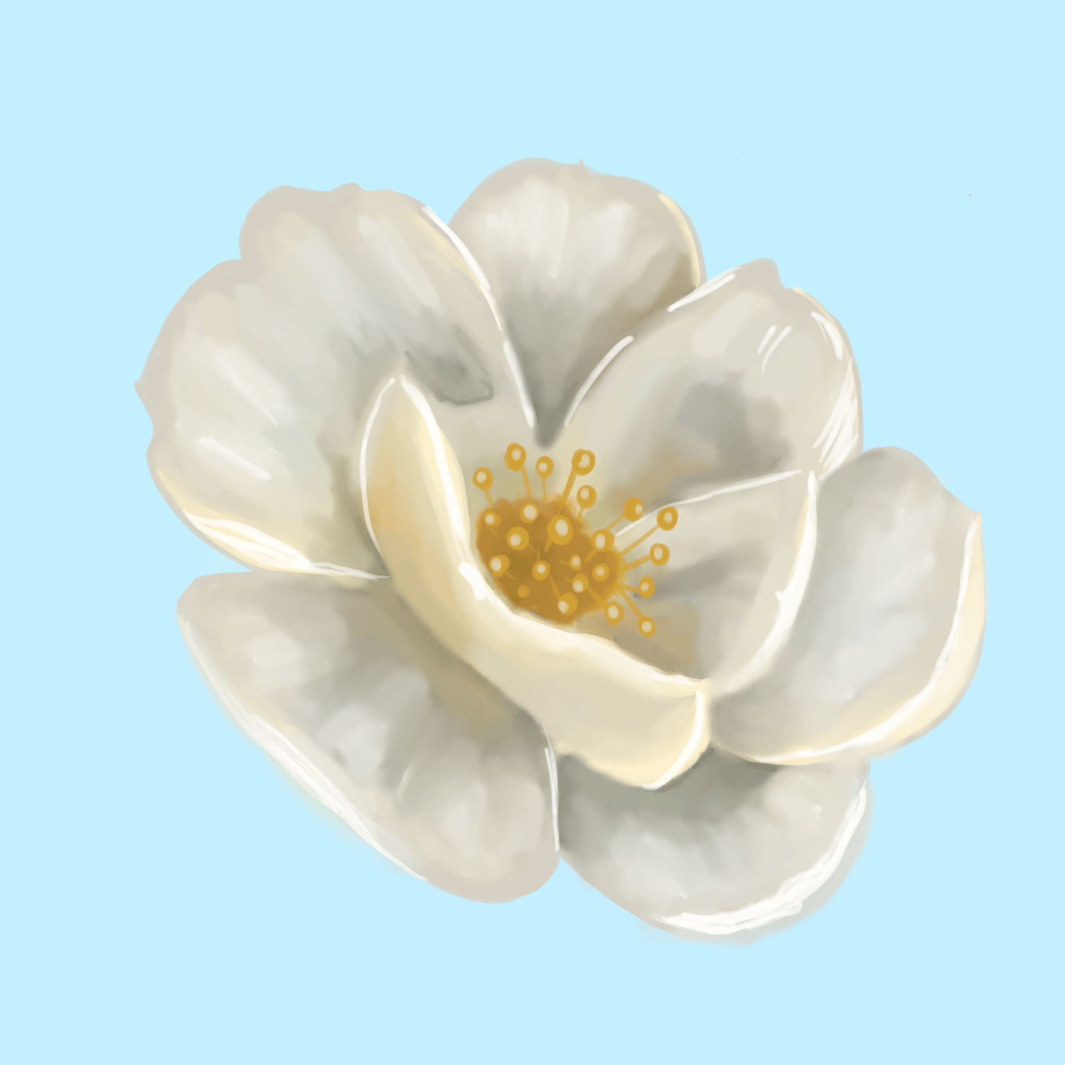 Flower - image 1 - student project