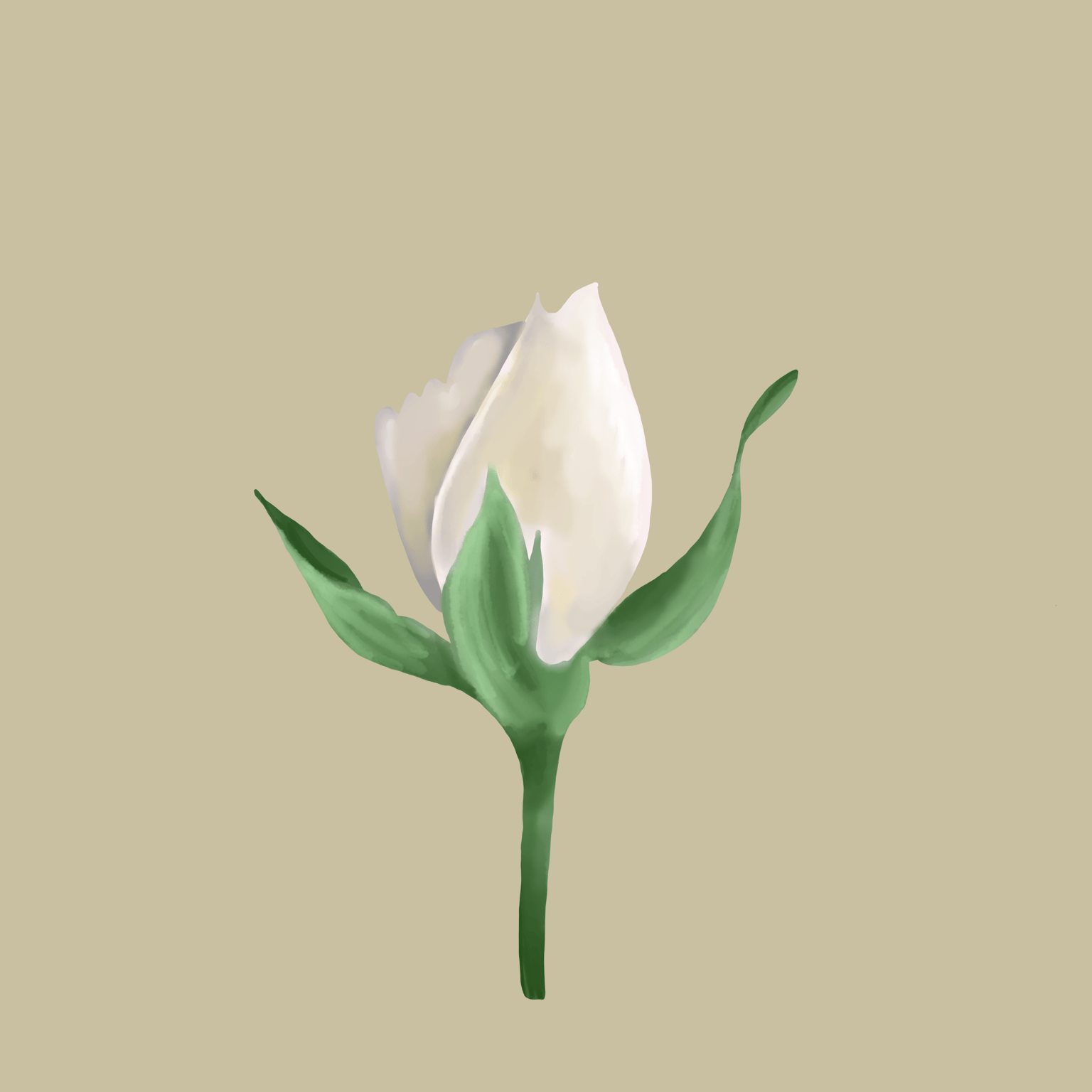 Flower - image 2 - student project