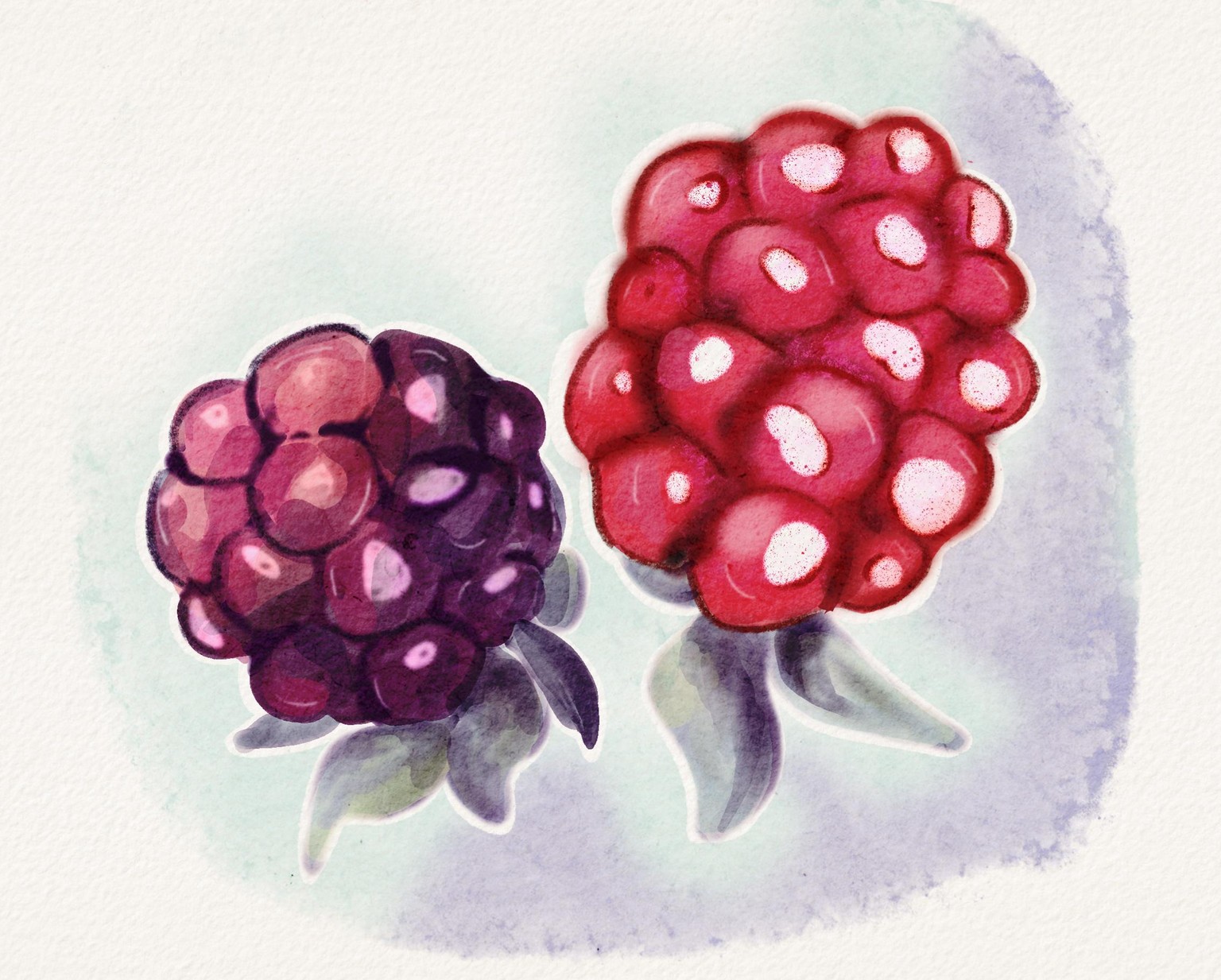 Fruit in watercolour - image 1 - student project