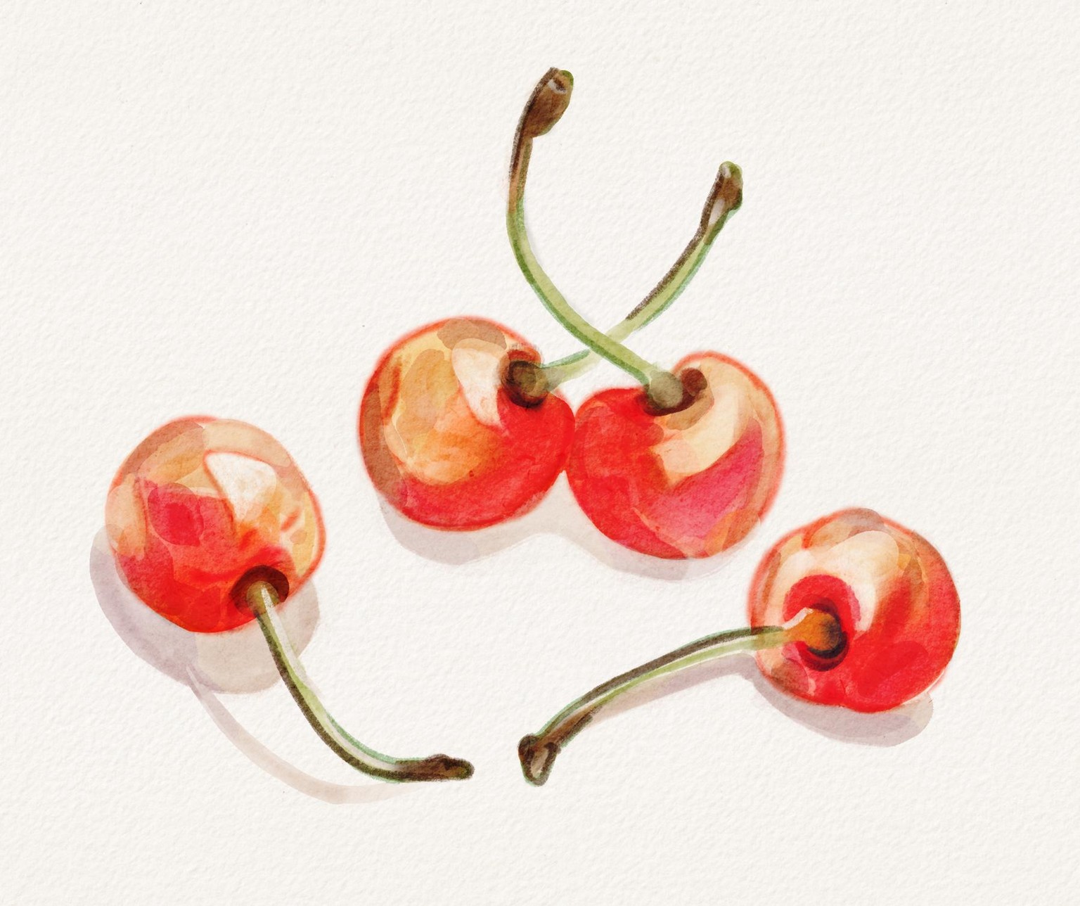 Fruit in watercolour - image 3 - student project