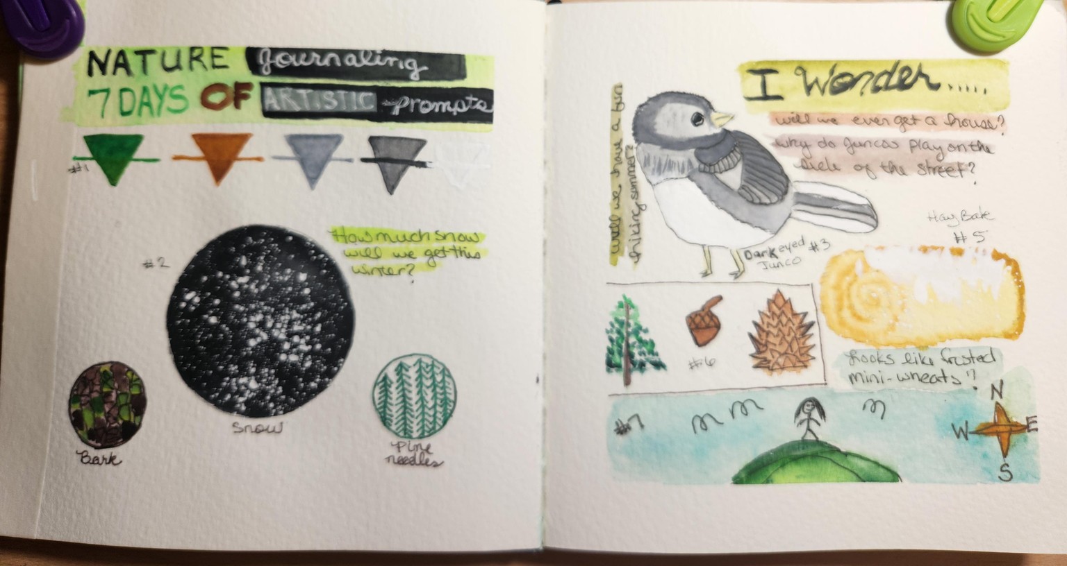 7 day journal - image 1 - student project