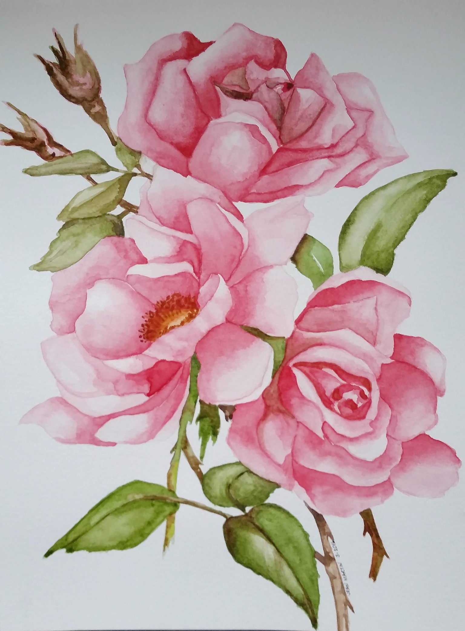 Rose - image 2 - student project