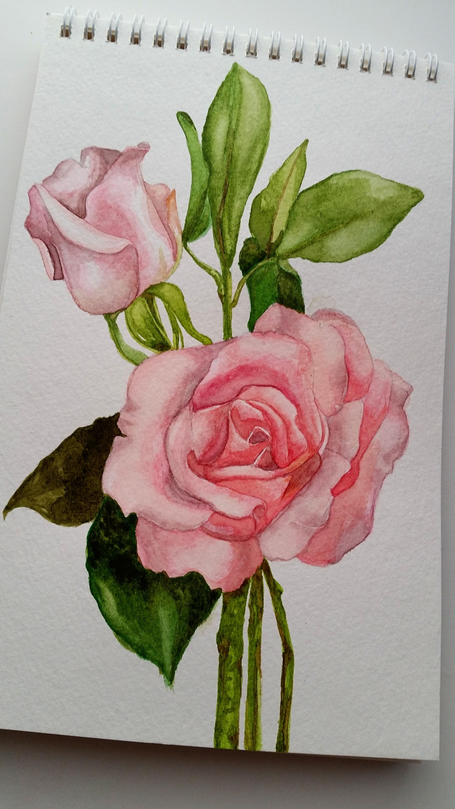 Rose - image 3 - student project