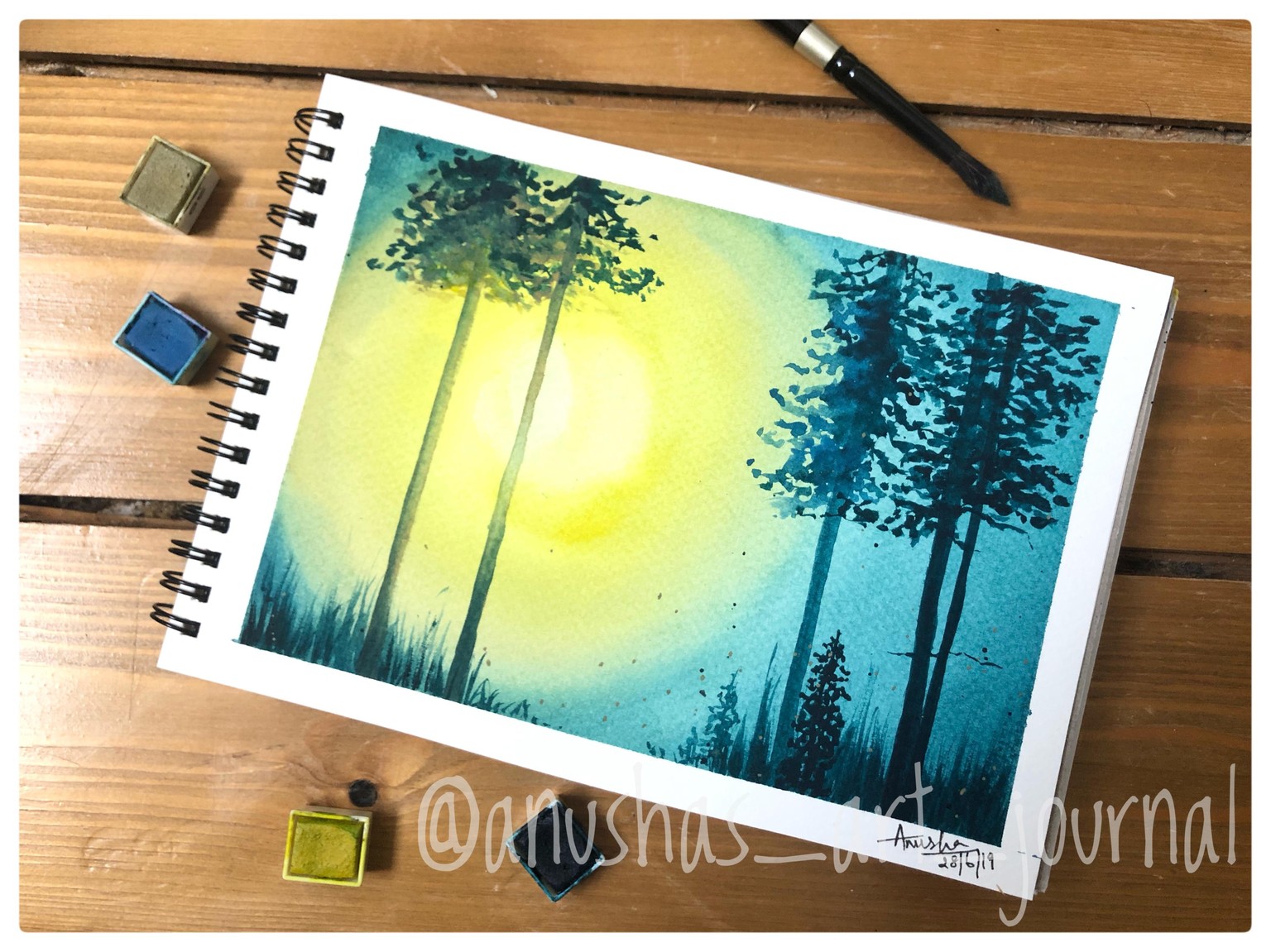 Pine forest - light and shadow composition - image 1 - student project