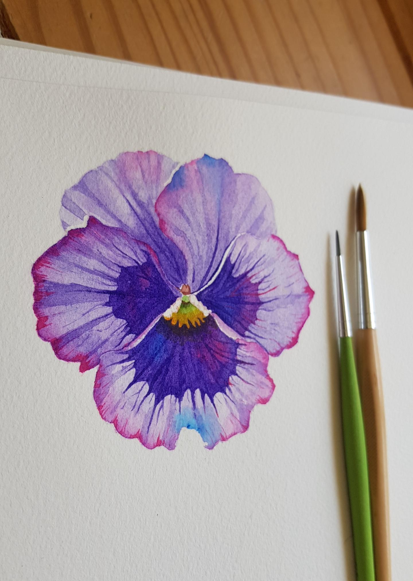 Purple Pansy - image 2 - student project