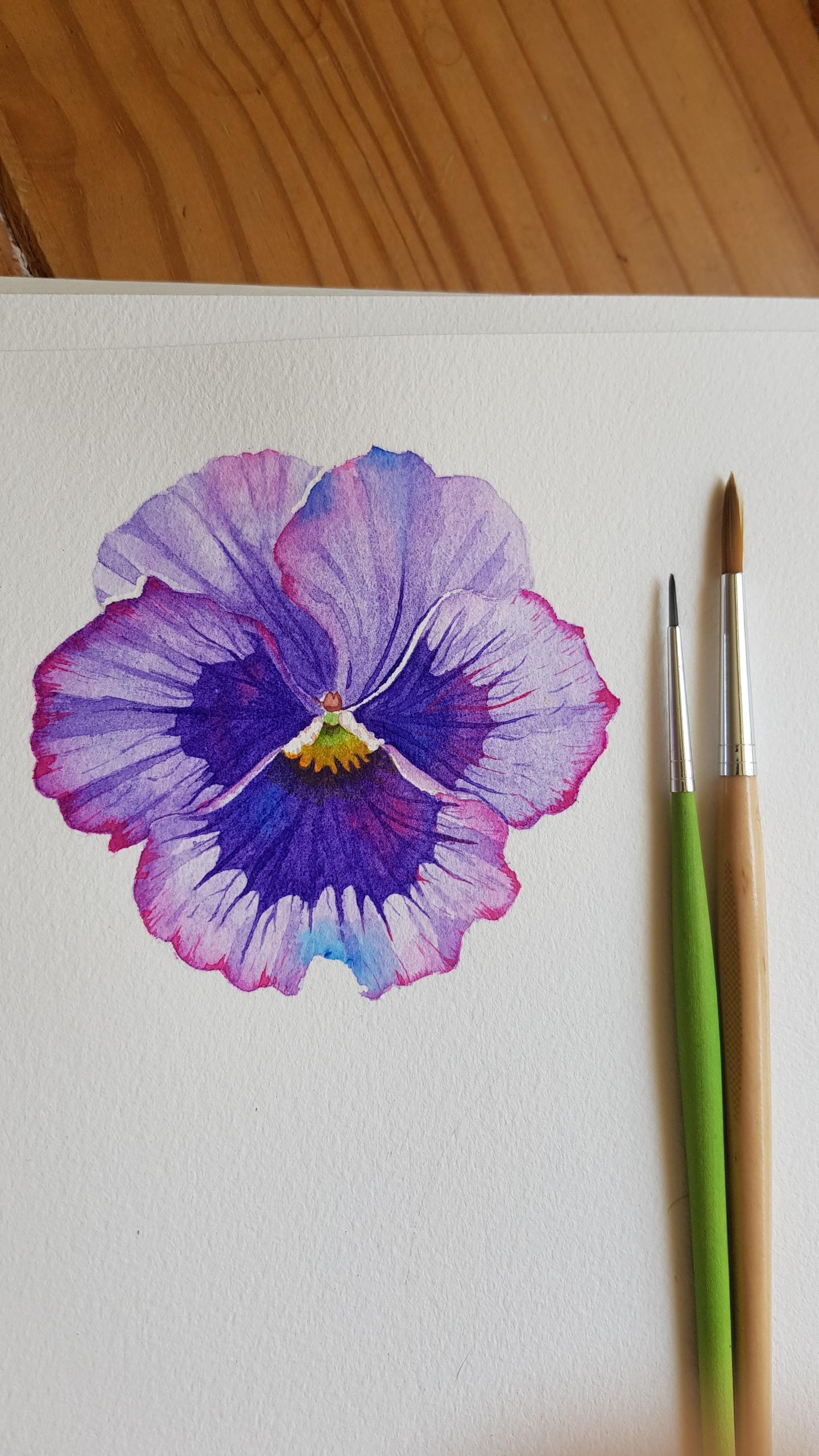 Purple Pansy - image 1 - student project