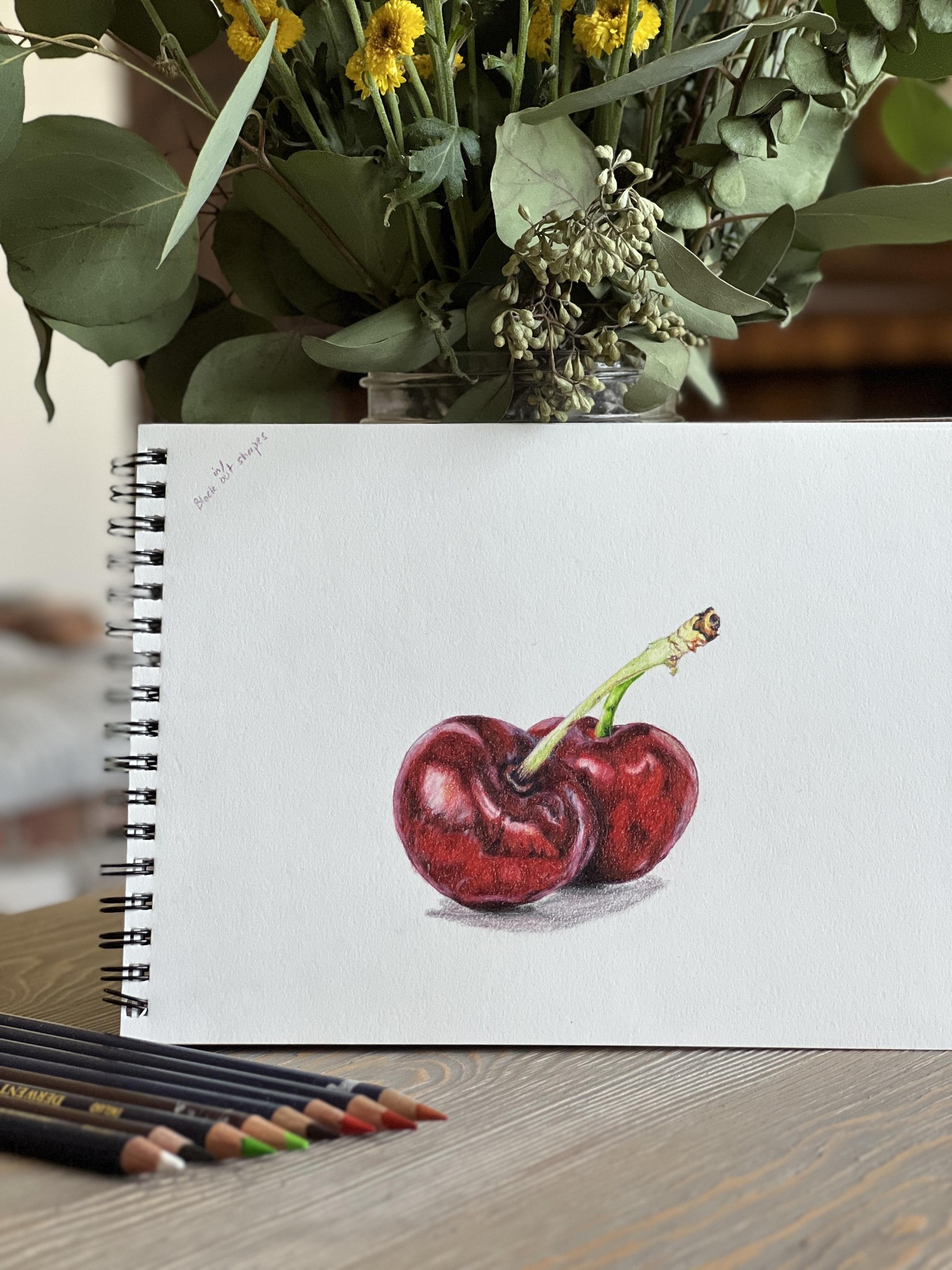 Color Pencil Cherries - image 1 - student project