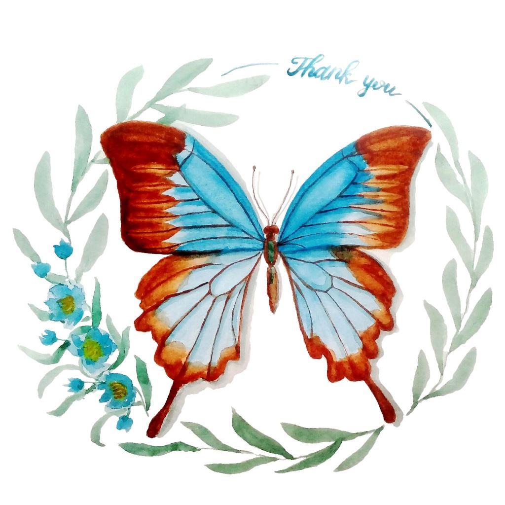 Butterflies  - image 2 - student project