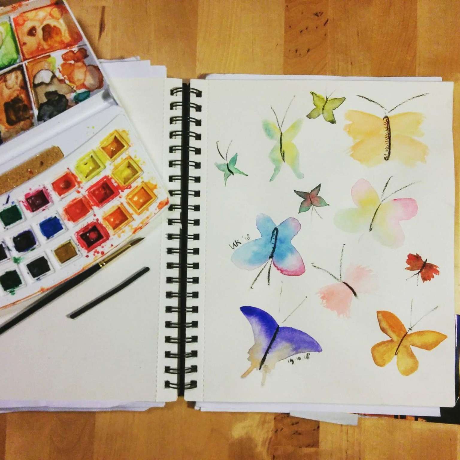 30 days of butterflies - image 5 - student project