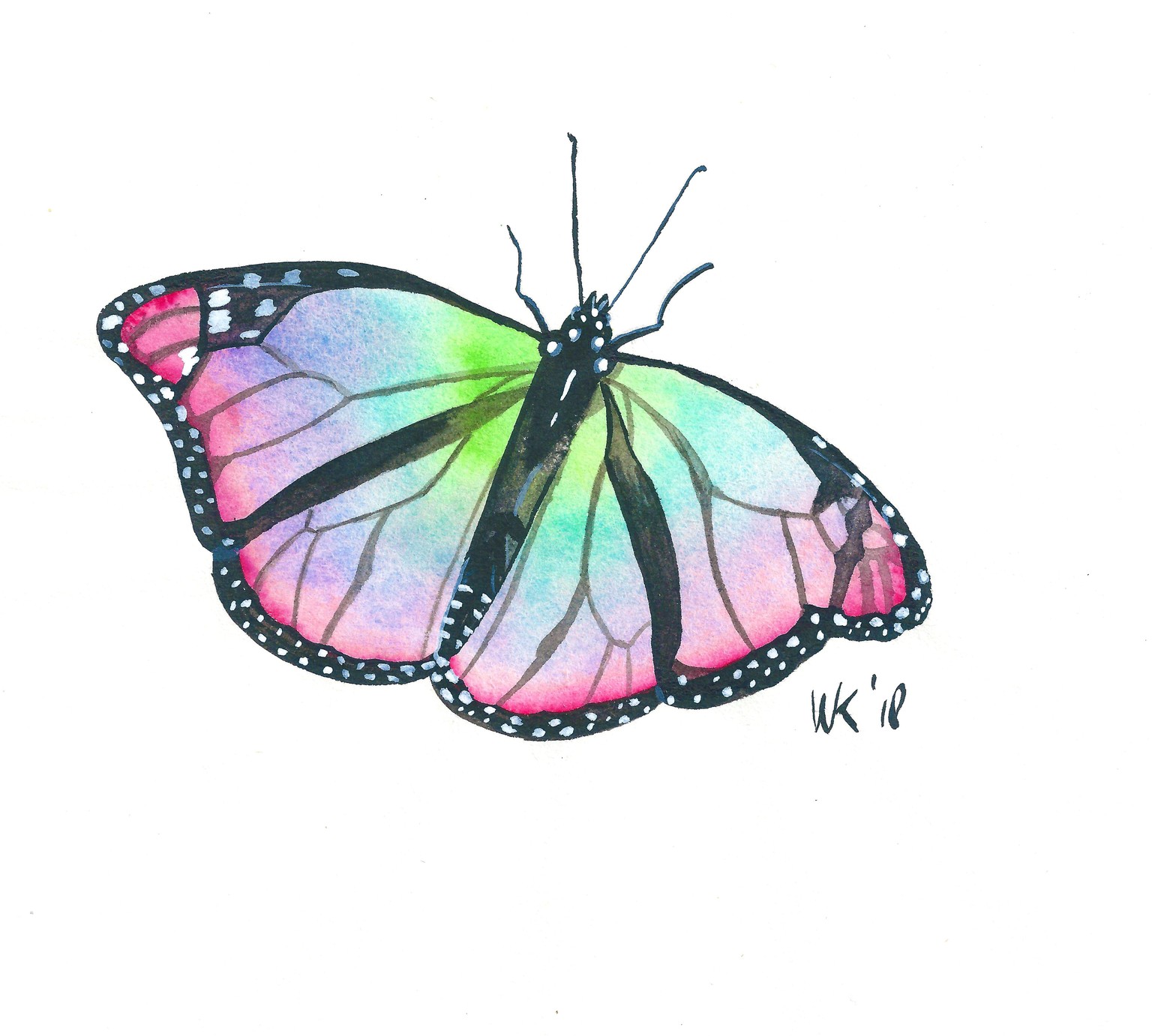 30 days of butterflies - image 2 - student project