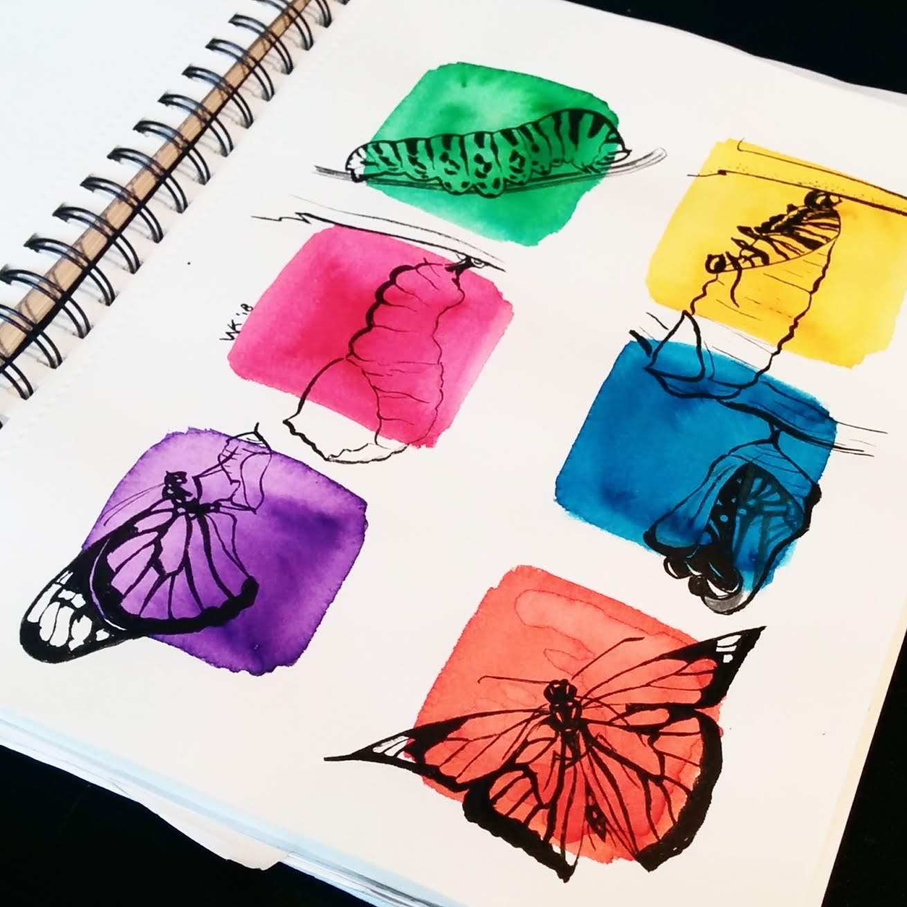 30 days of butterflies - image 8 - student project