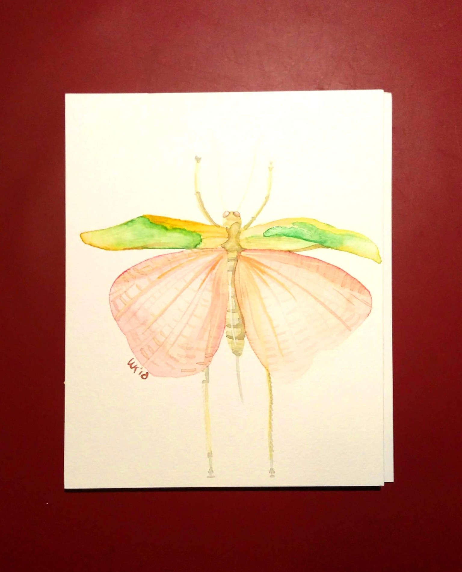 30 days of butterflies - image 10 - student project